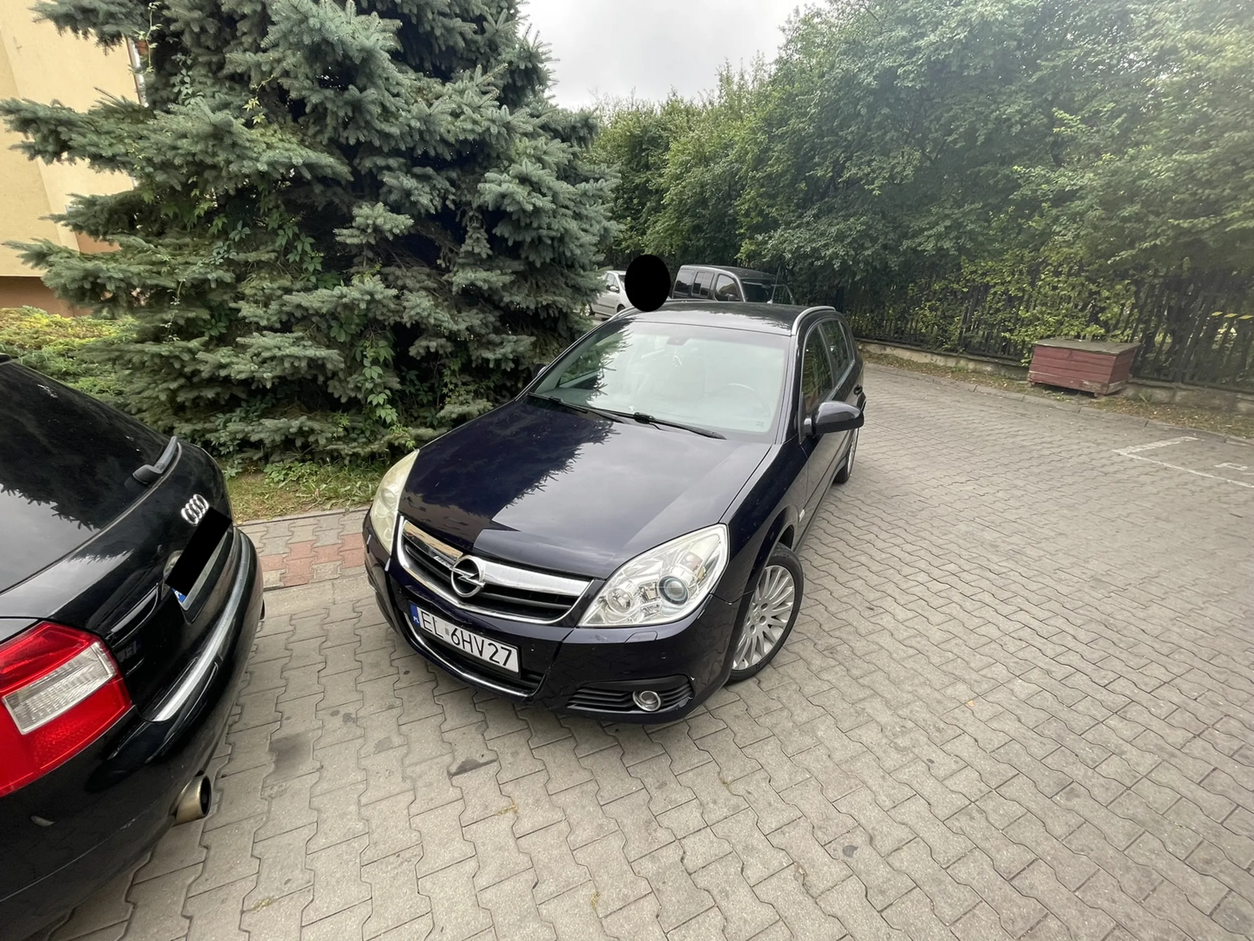 Zejście z chodnika dla księcia z Łodzi