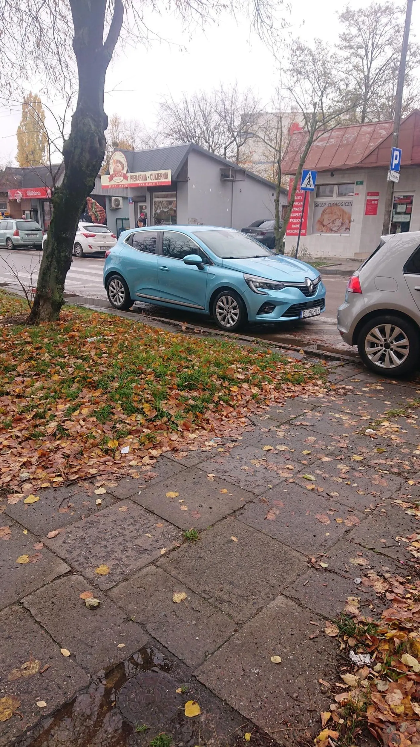 Baran który nie wie do czego służy strefa wyłączona z ruchu 2 metry od przejścia dla pieszych