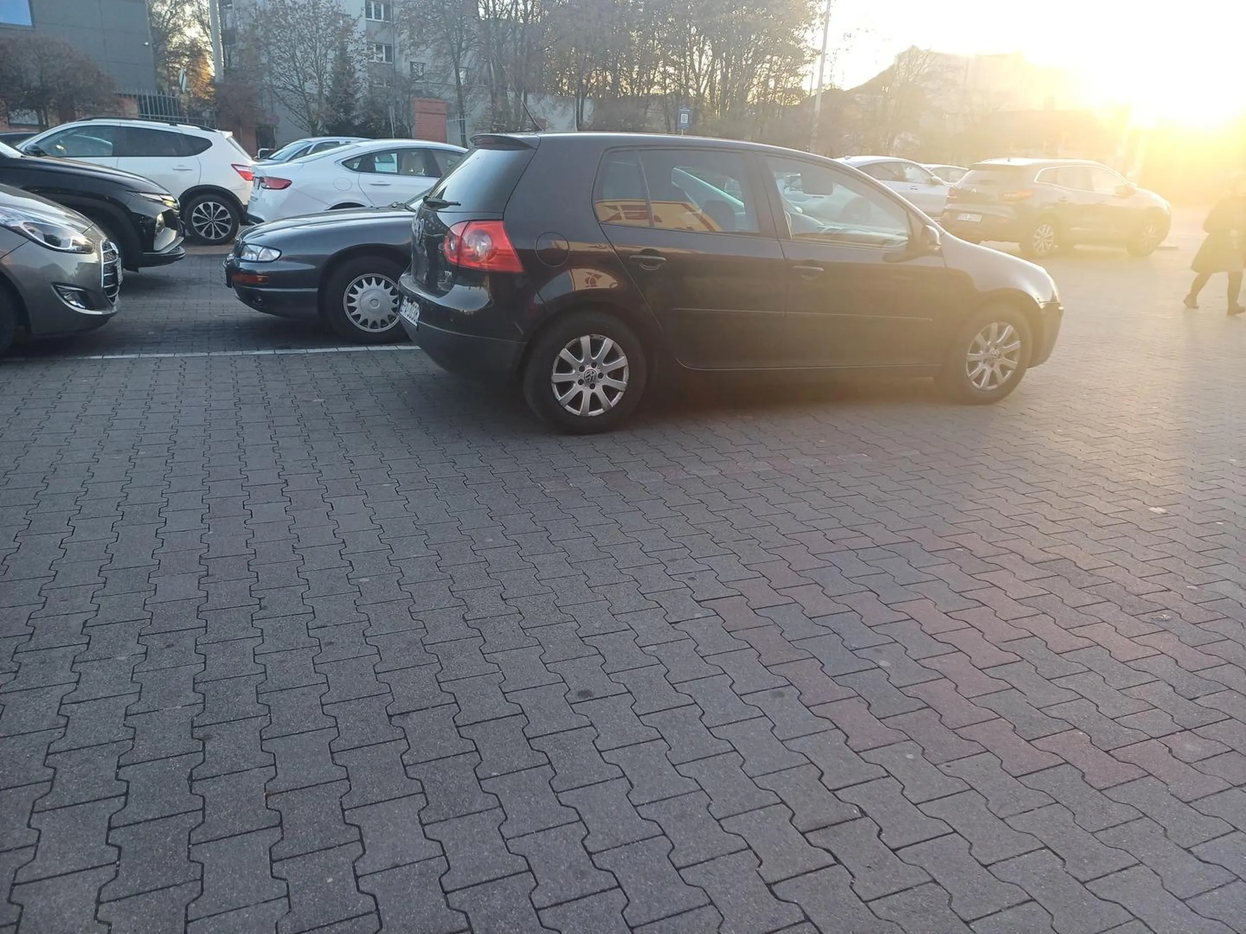 Gość stanął na środku drogi pod sklepem i poszedł na zakupy