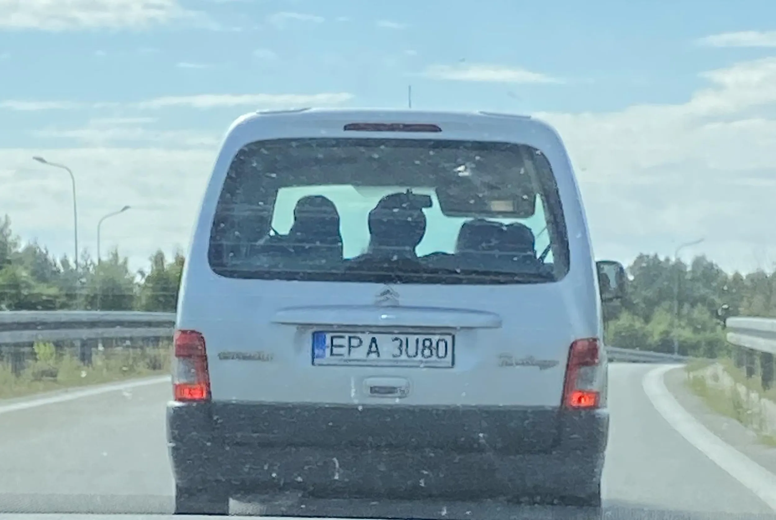 Menda nie wie gdzie chce jechać na zjeździe, bo oczywiście nie ma duźej różnicy między Gdańskiem a Piotrkowem Trybunalskim ?