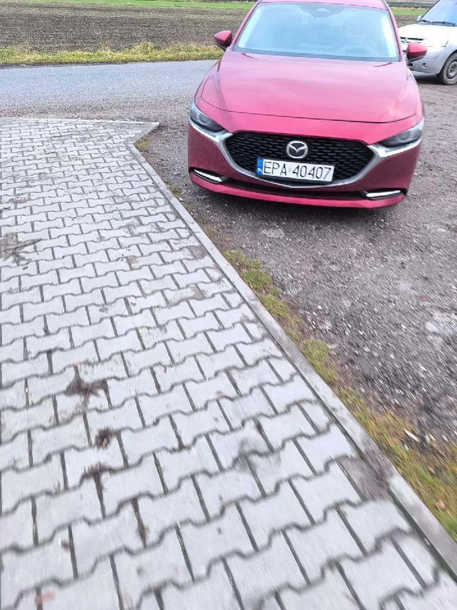 Kolejny śmieciarz i sikacz pod płotem. Parkujący w bramie.