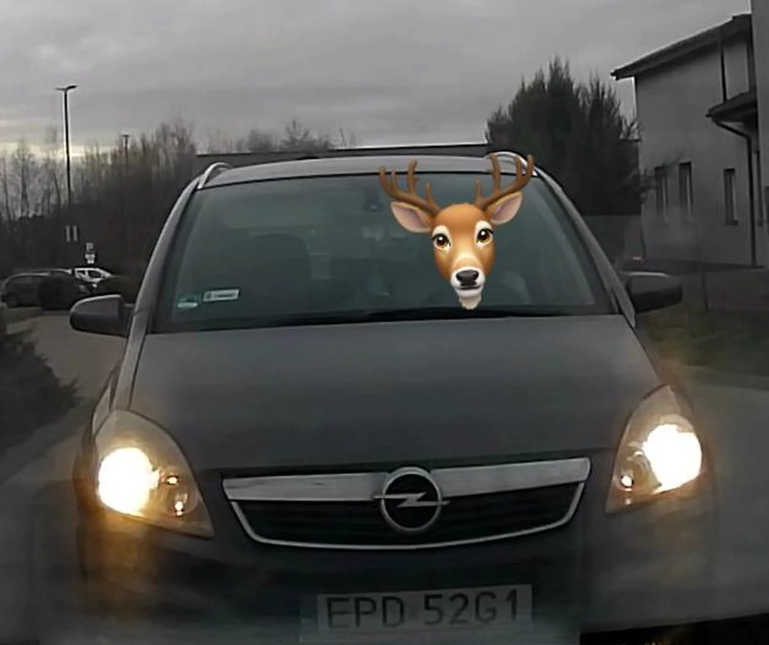 bezpodstawnie trąbi na innych kierowców