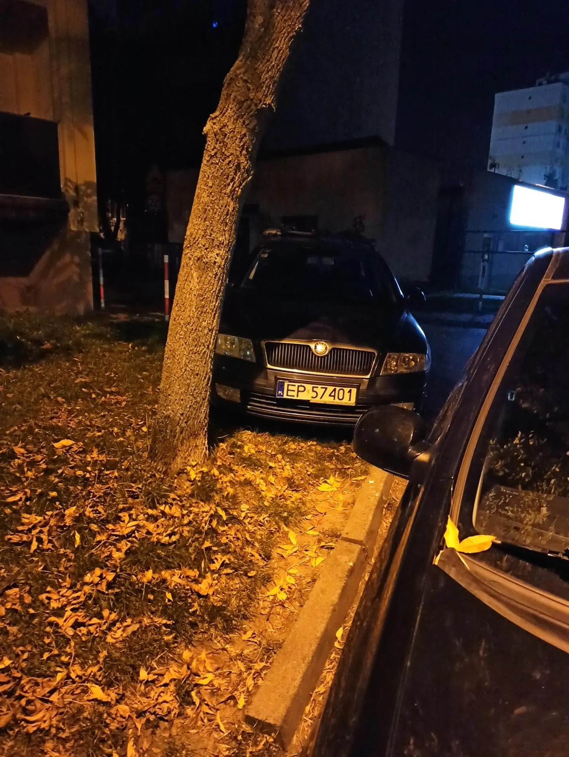 Bezmyślna dewastacja trawnika!