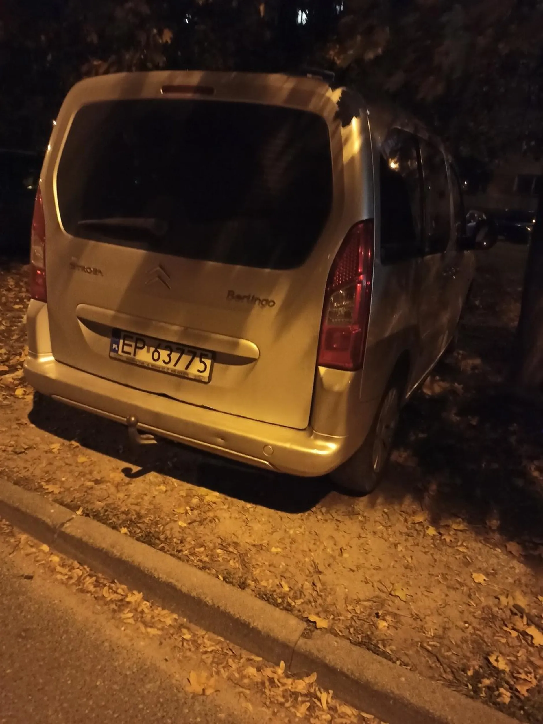 Bezczelne niszczenie trawnika!