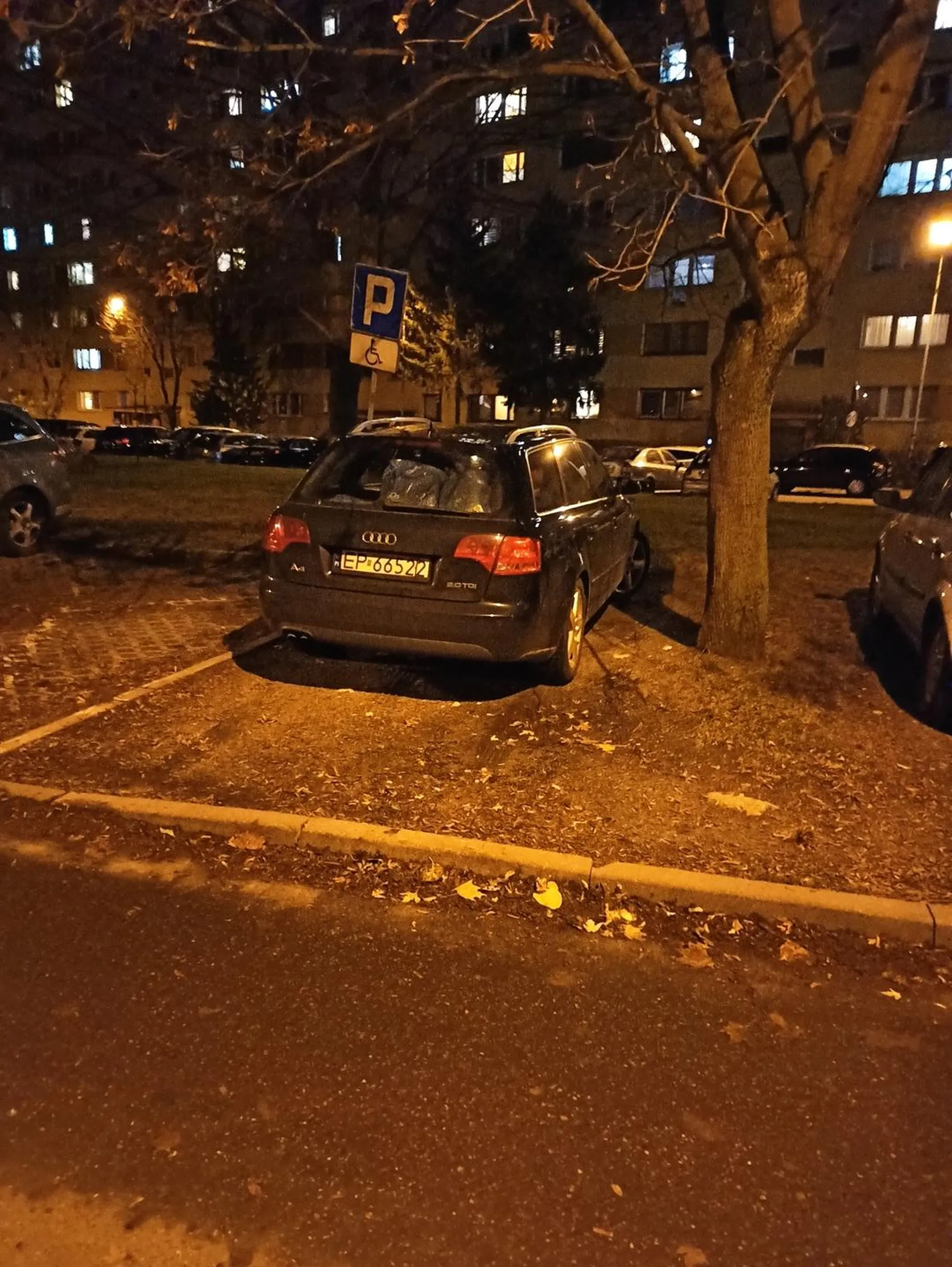 Bezczelna dewastacja trawnika!