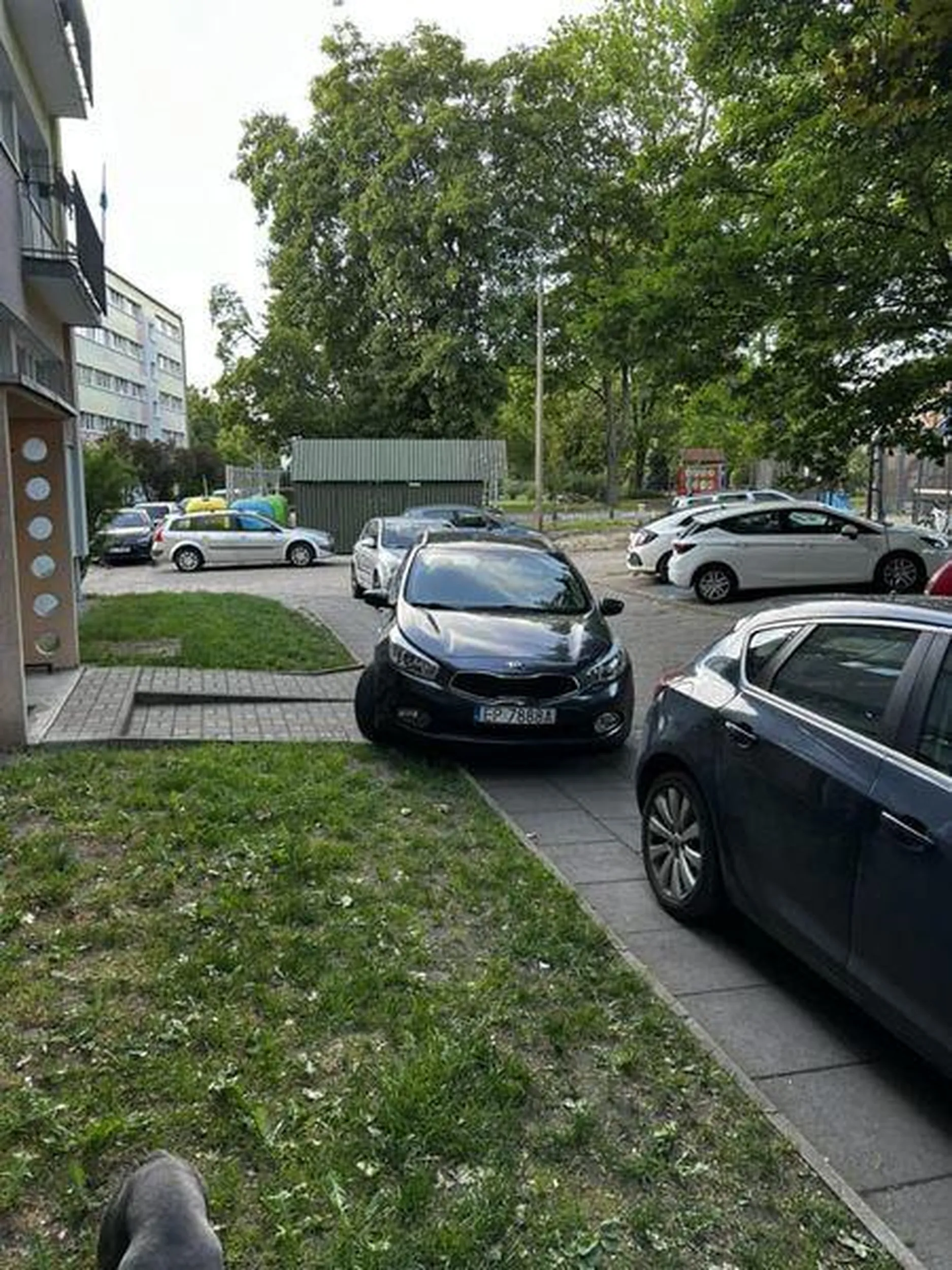 Mogła już na klatke wjechać