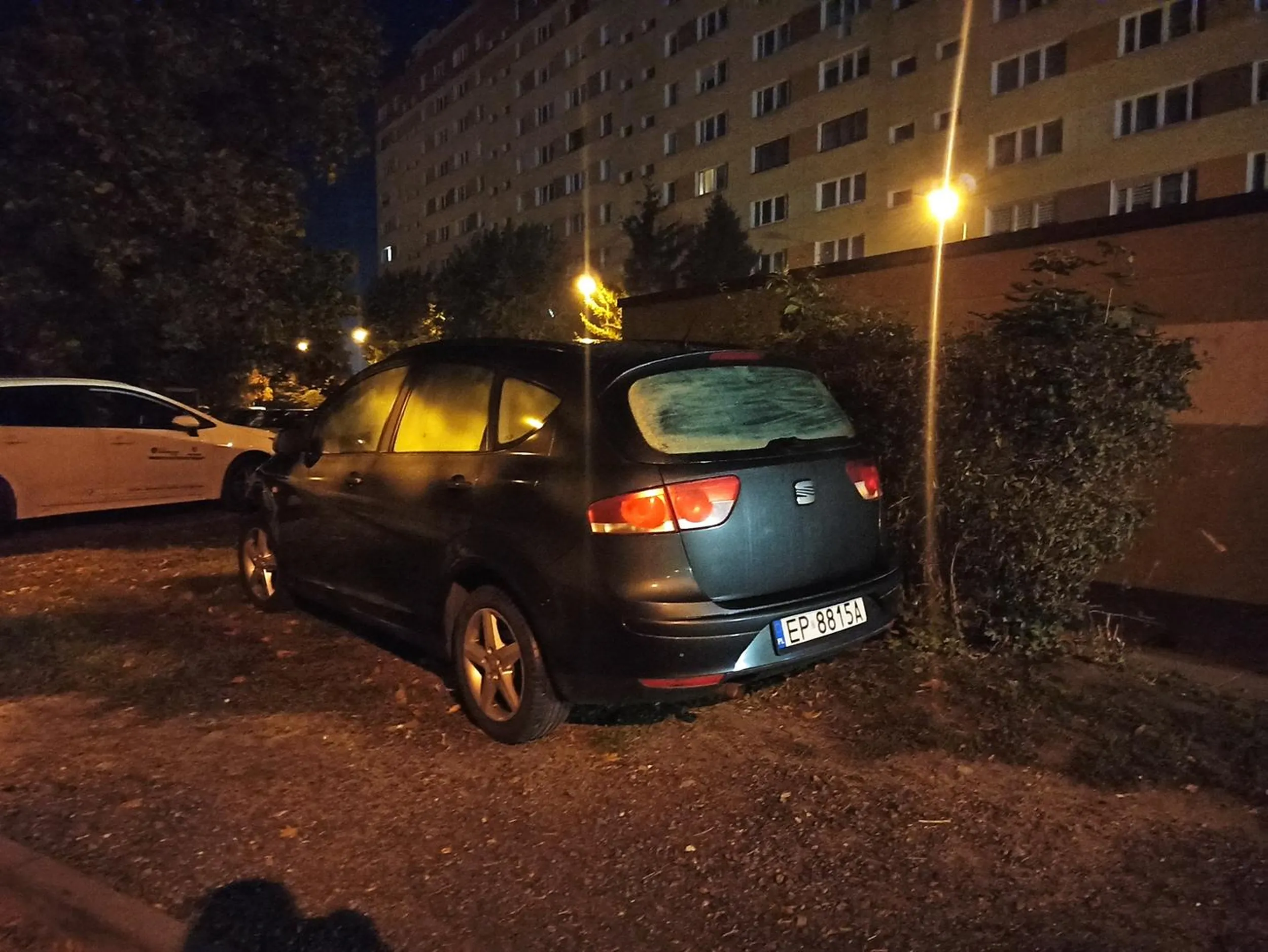 Bezczelna dewastacja trawnika!