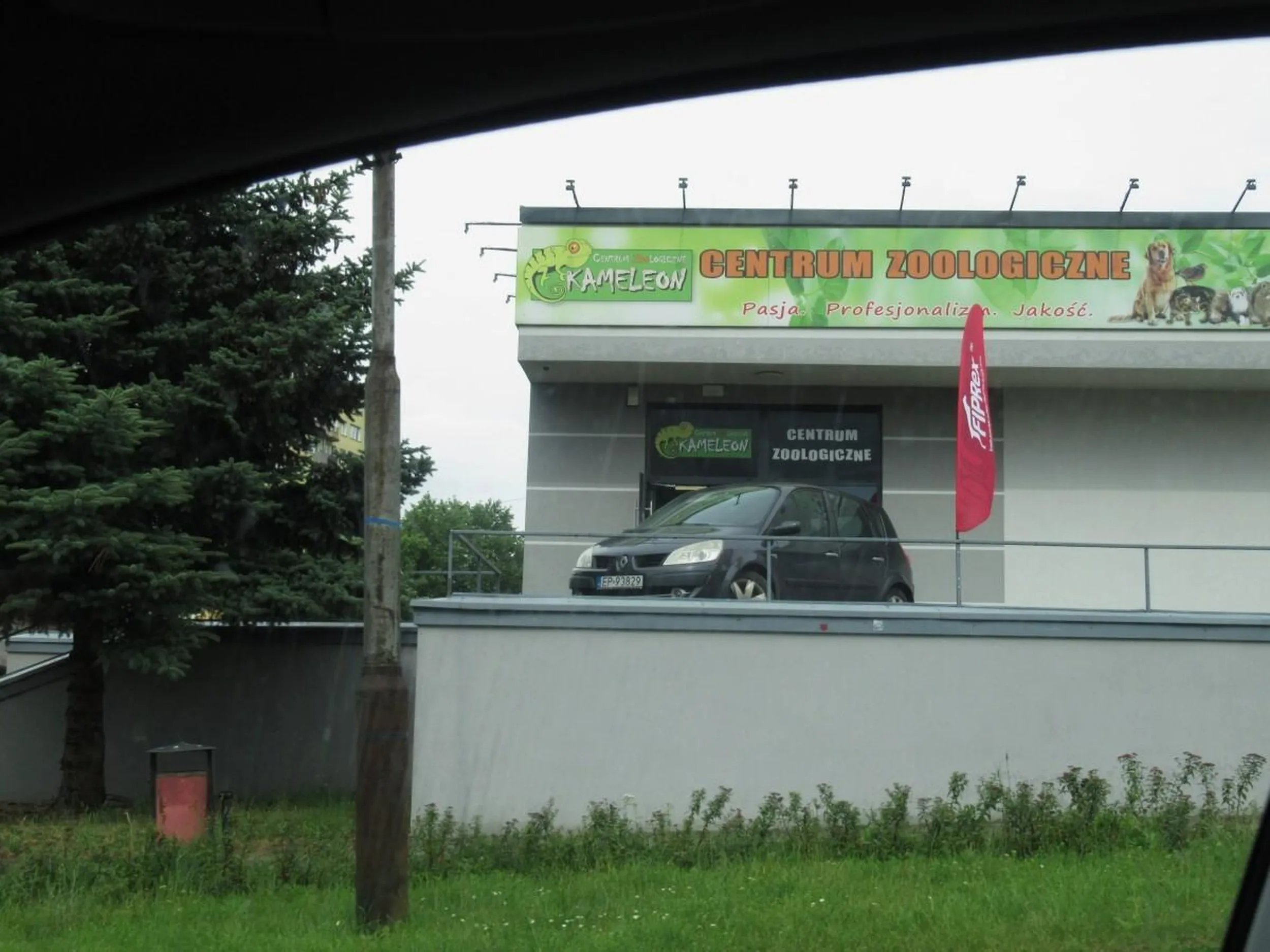 Patus zaparkował sobie renówkę przed sklepem. Miejsce parkowania: https://maps.app.goo.gl/ZQYFQdiWx7JiCmrn9