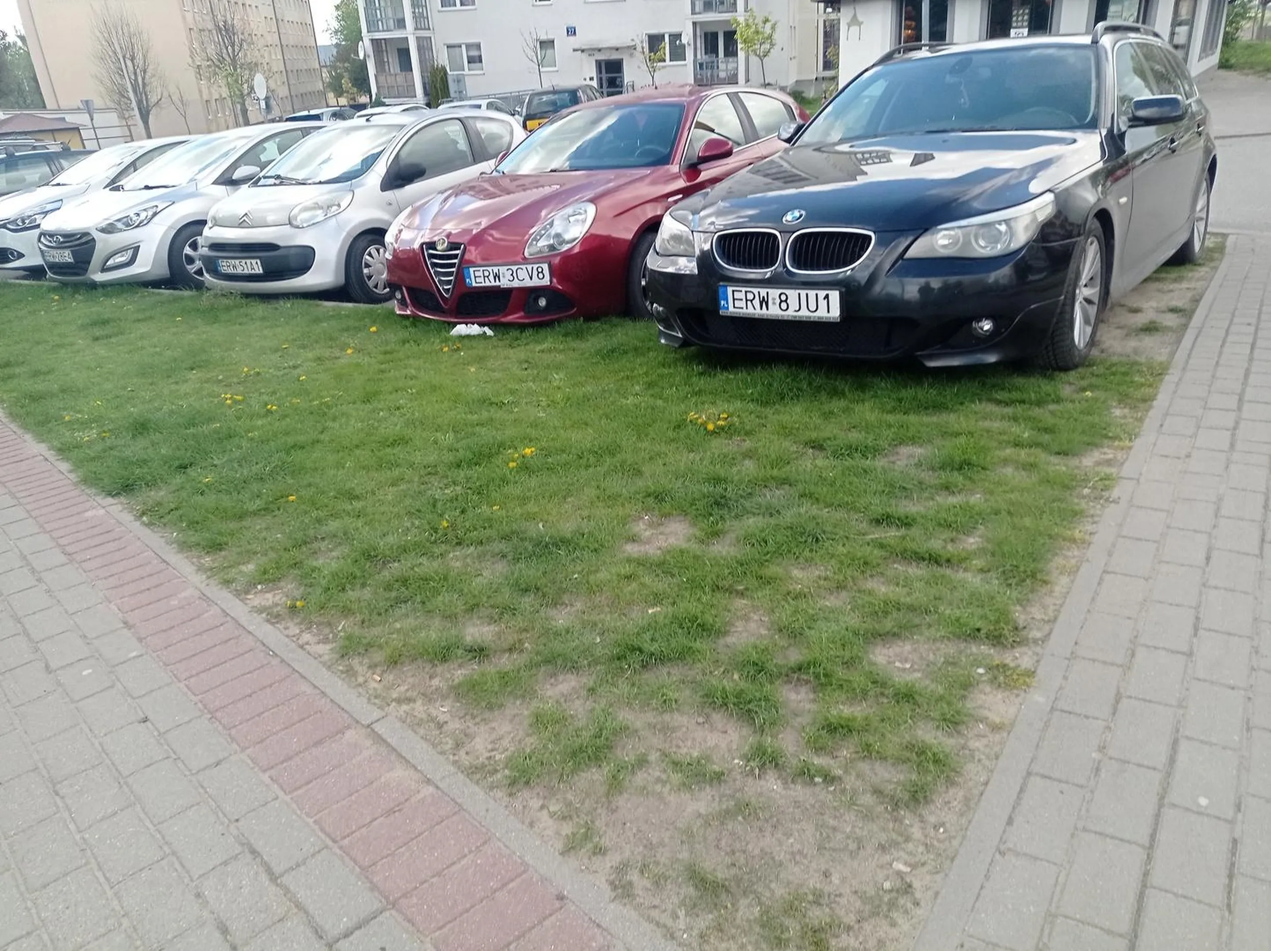 Profesjonalne Parkowanie zaliczone na 6