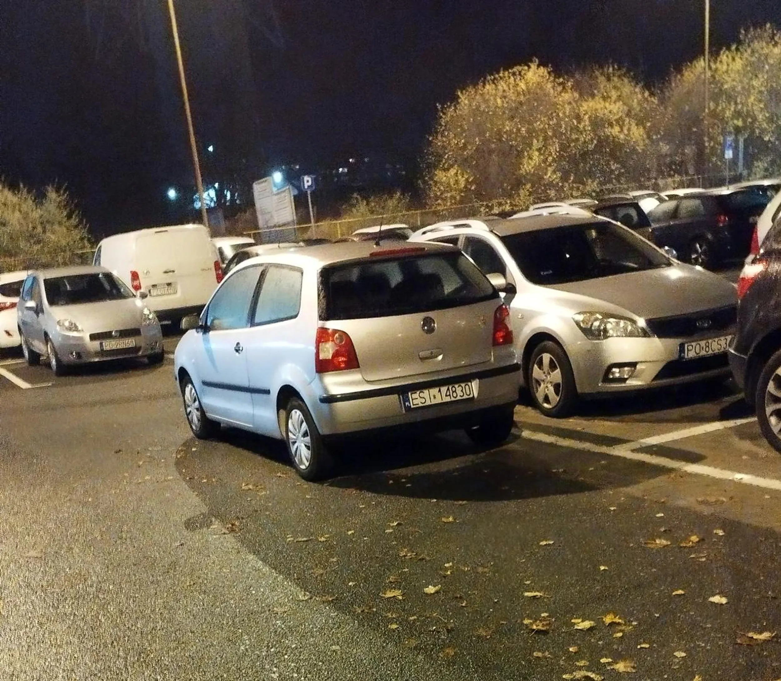 Zainwestuj w okulary. Parkujesz na przejezdzie.