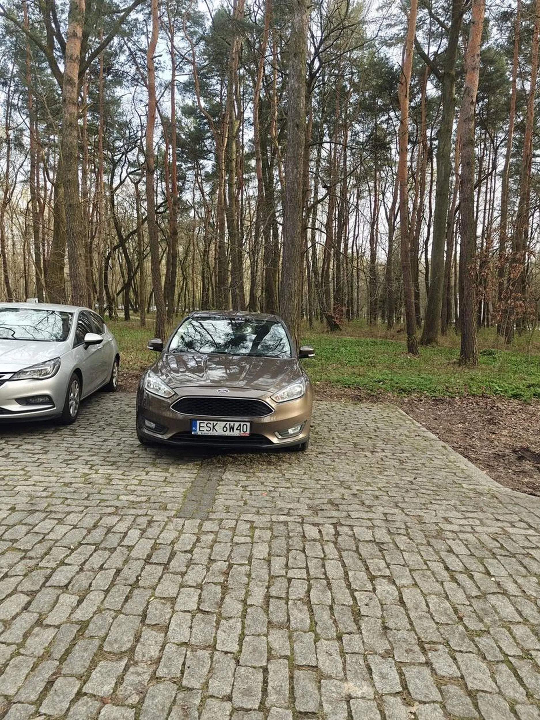 Idealne parkowanie w Parku Zielona. Mogłeś zająć od razu trzy miejsca parkingowe, w sam raz przy dużym obłożeniu i małej ilości miejsc parkingowych. Zwykły burak...