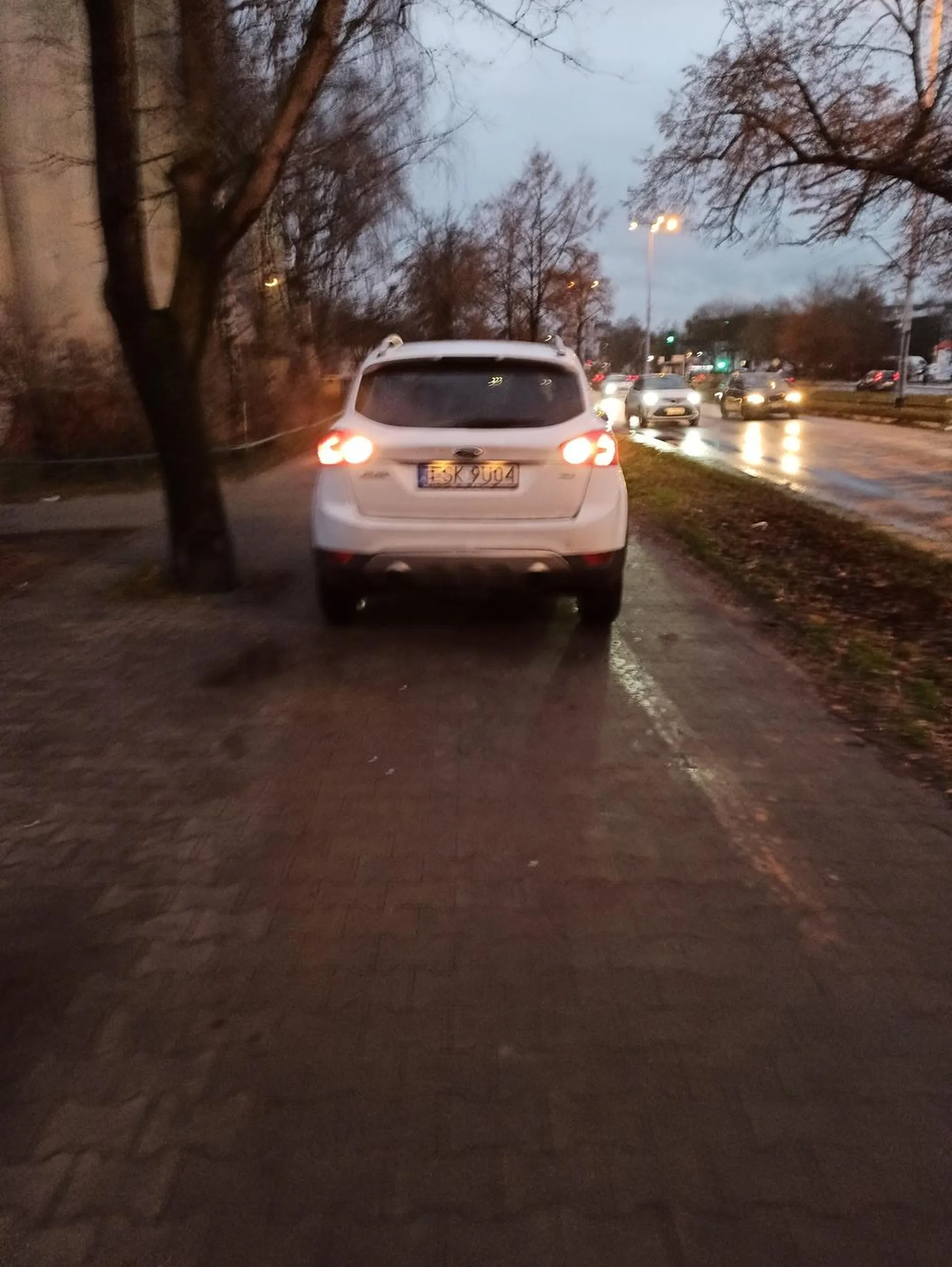Kierująca ma problem z odróżnieniem ulicy parkingu i chodnika. Pada deszcz, zmrok, warunki kiepskie, a Pani z buldogiem na fotelu pasażera cofa na chama i zmusza pieszych by omijali ją po skrawku trawnika.