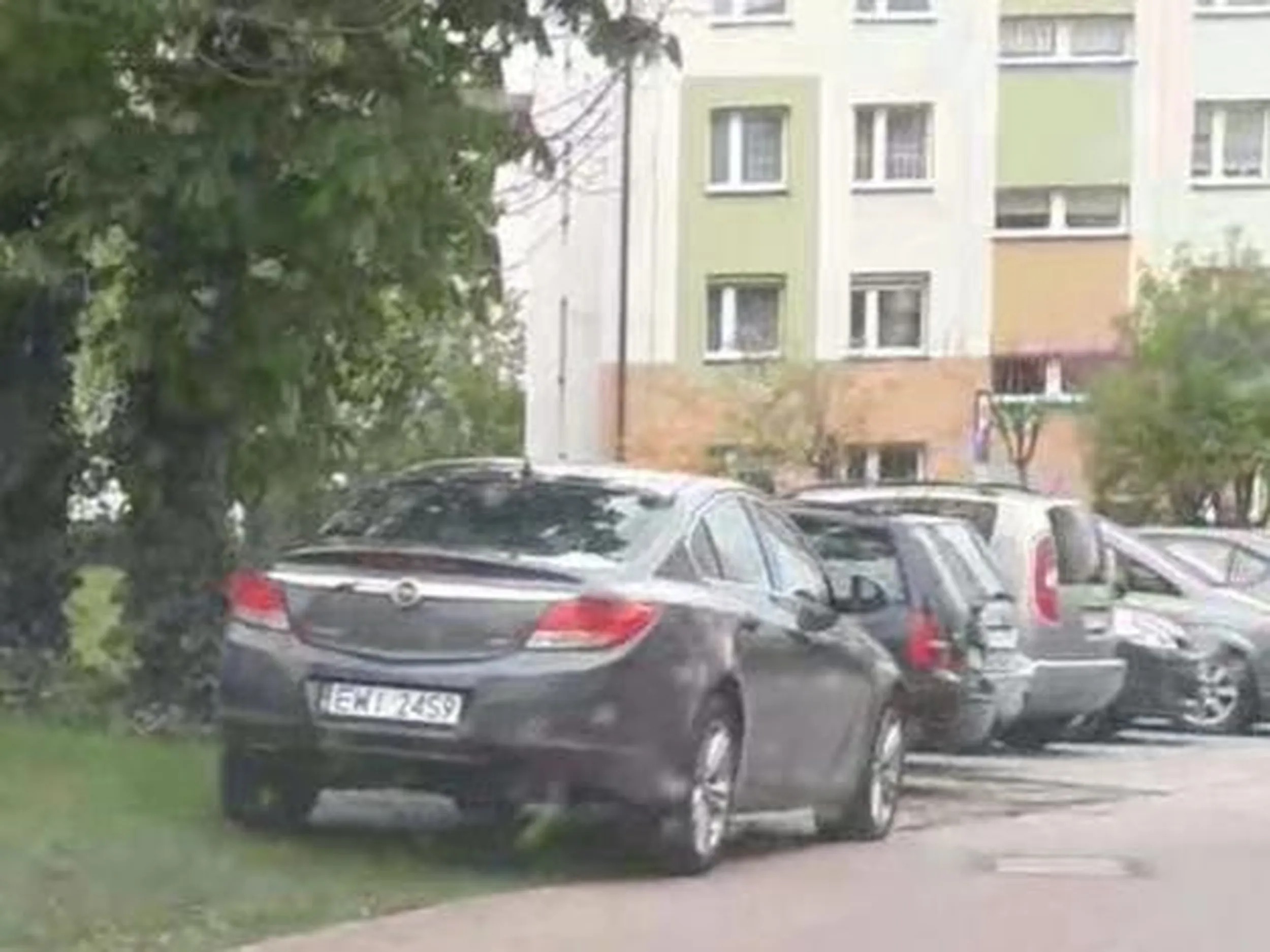 Zero poszanowania własności, niszczenie zieleni.