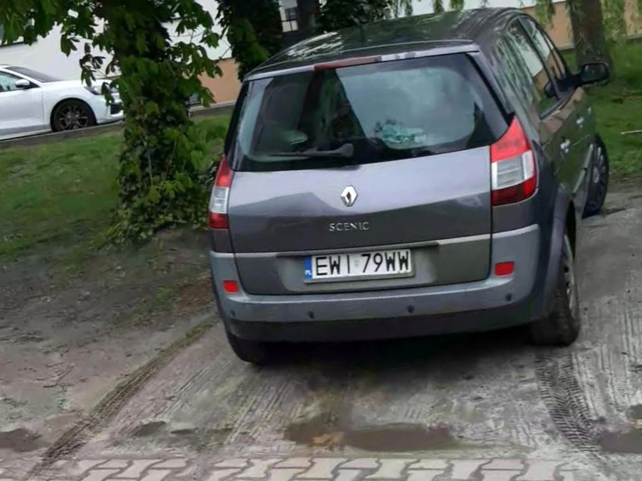 Totalne chamstwo, żeby tak niszczyć trawnik.