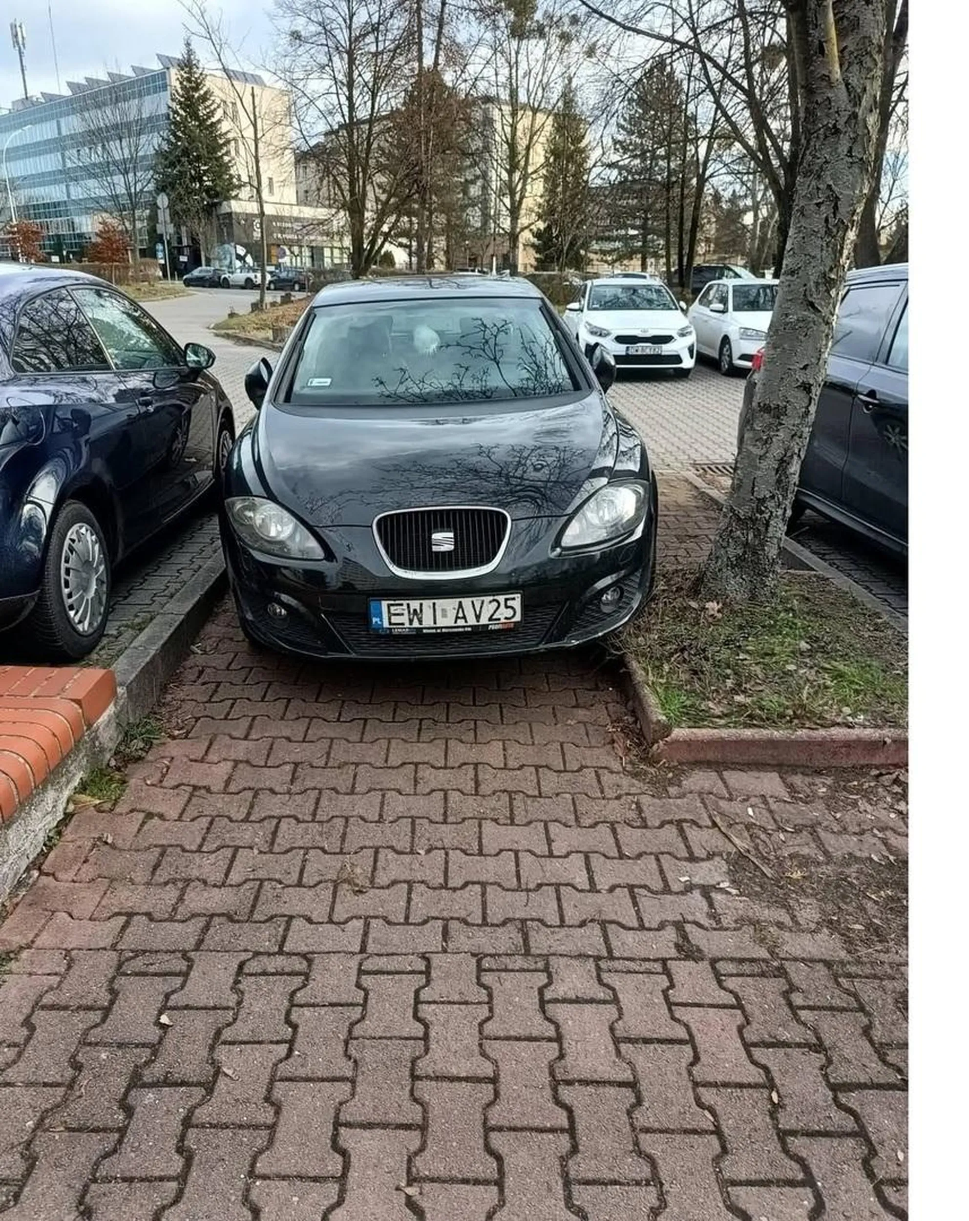 pozdrowienia z Medykow 12D