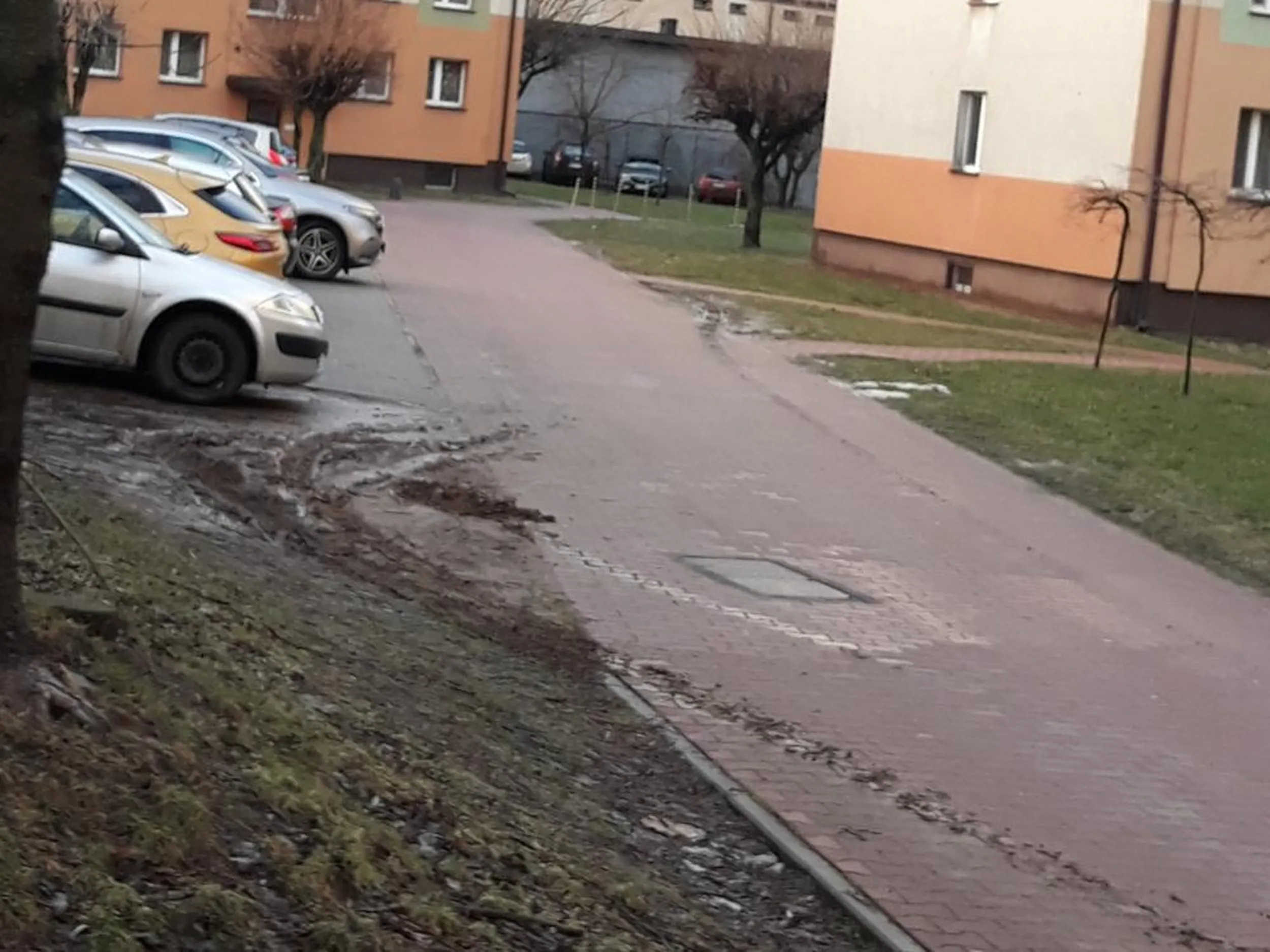 Znalazł sobie miejsce do parkowania, droga pożarowa, zakaz postoju, rozjeżdżanie i niszczenie trawnika.