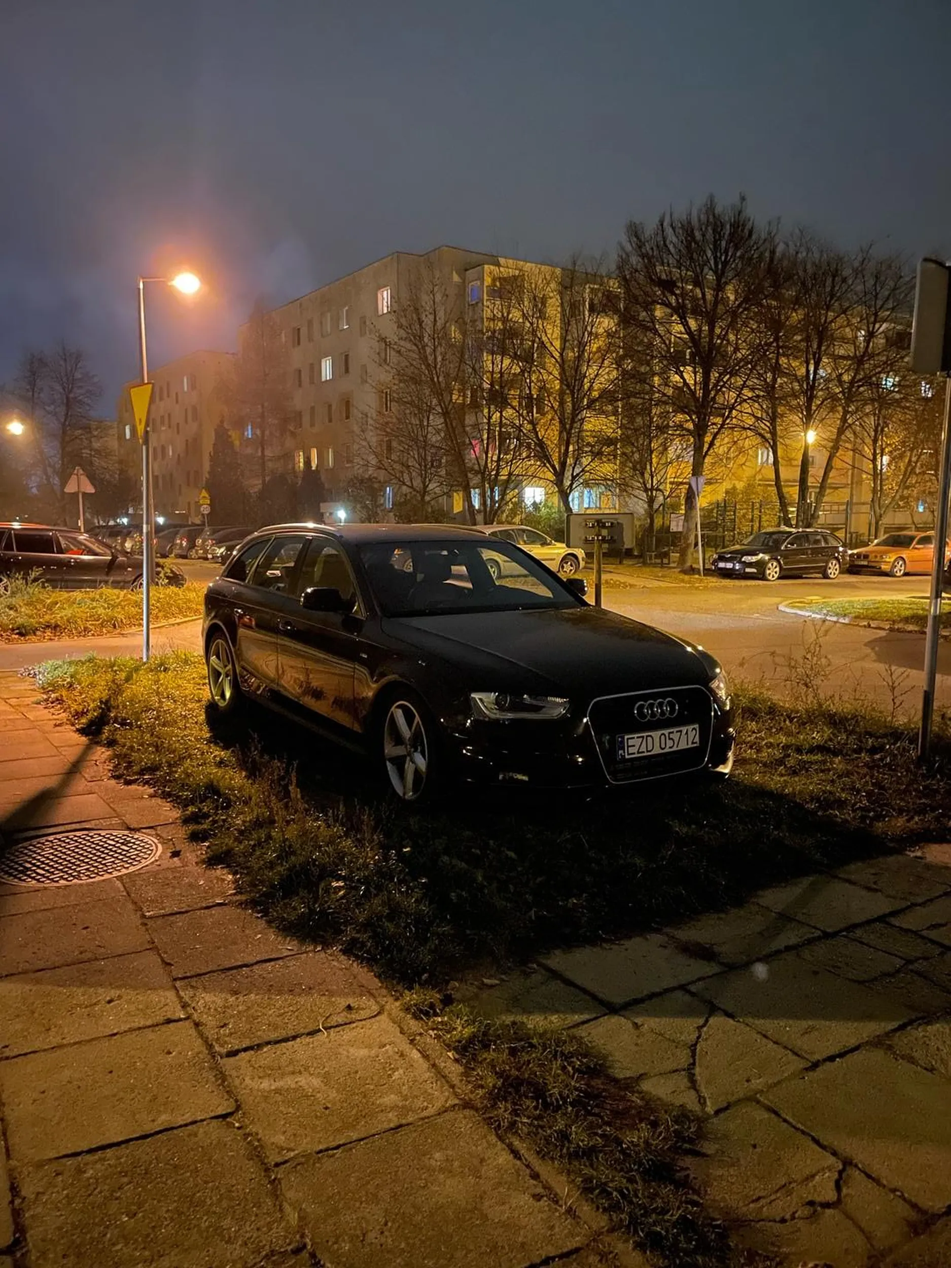 kierowca ma problem z rozróżnieniem trawnika od miejsca parkingowego. możliwe że na wsi z której pochodzi jeszcze nie zbadano zasad parkowania samochodu, albo marka zobowiązuje