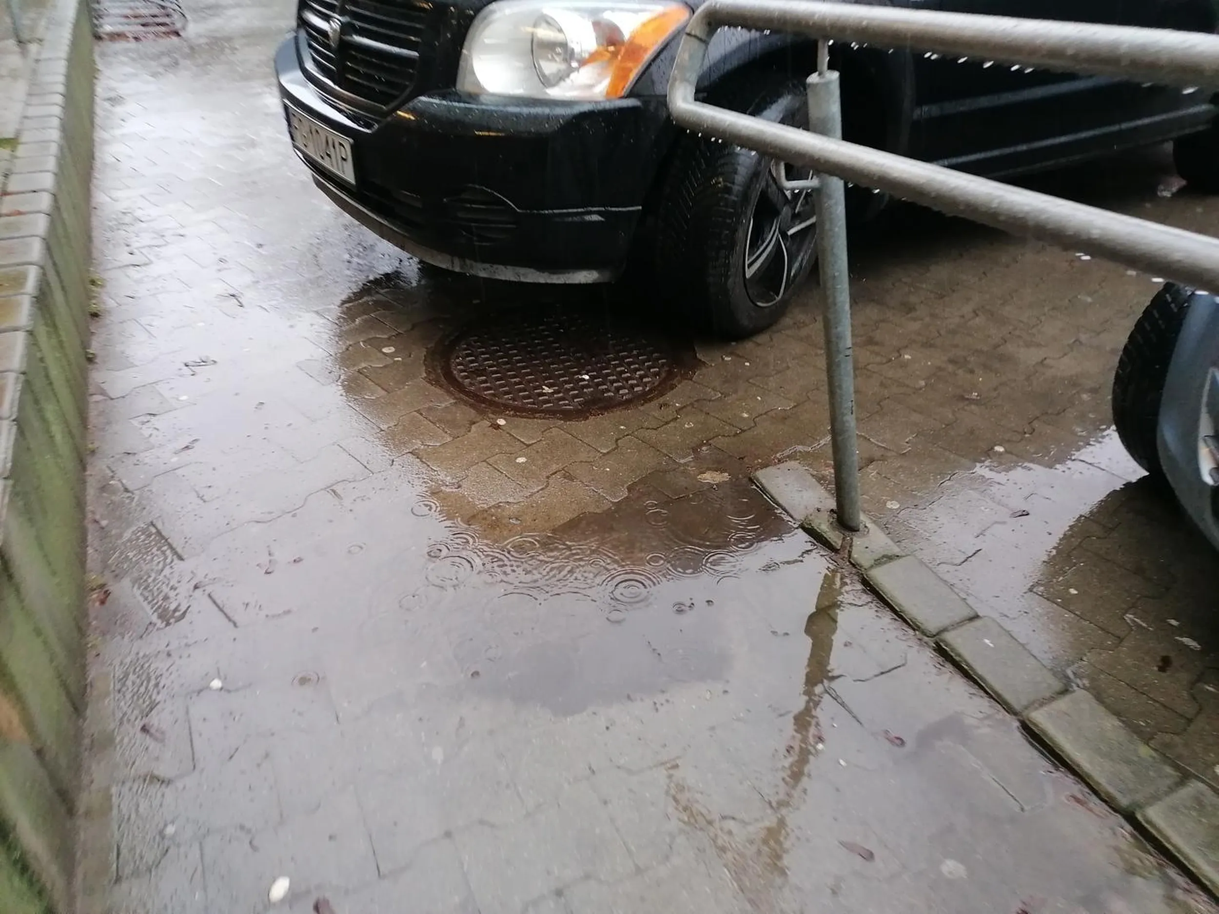 Mogę przejechać ci wózkiem po masce? Nie obrazisz się?