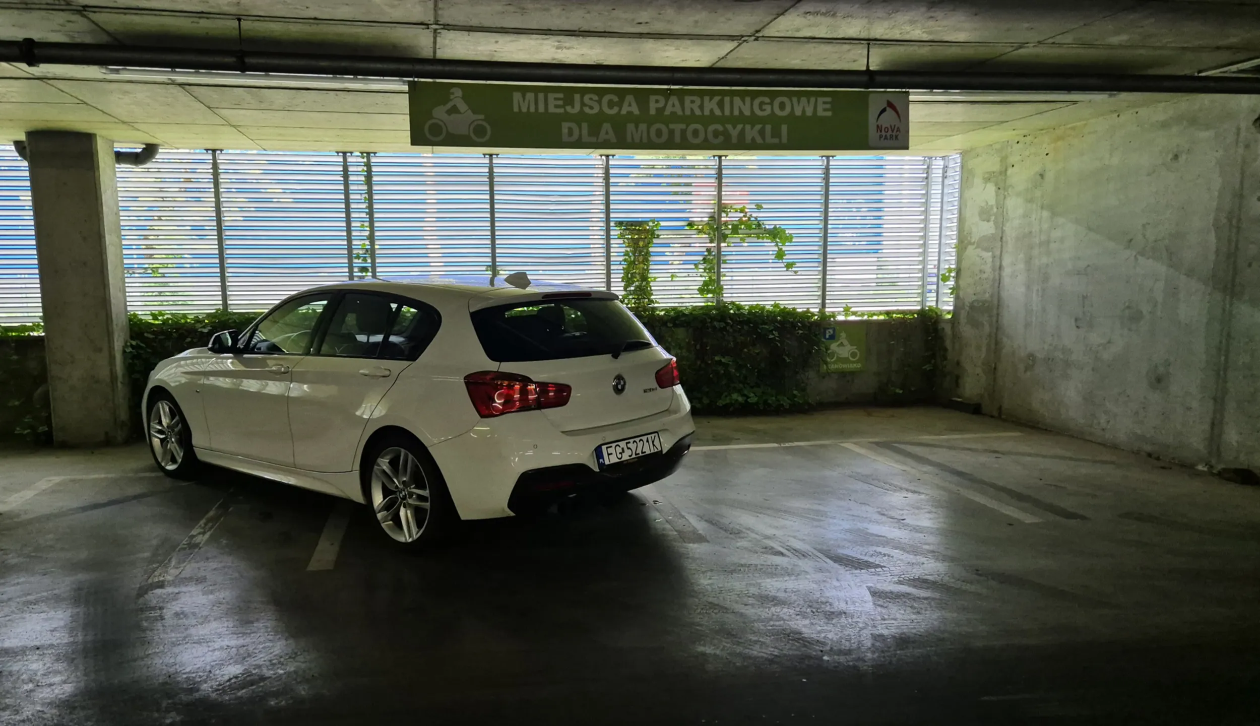 Parkuje jak... i to w niedozwolonym dla samochodów miejscu.