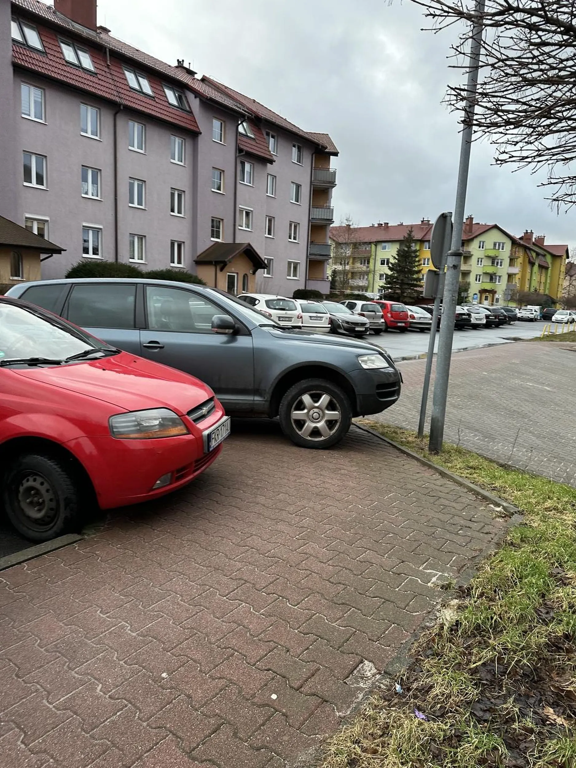Następnym razem skończy się to dla pana mandatem i przejściem po masce. Pozdrawiam