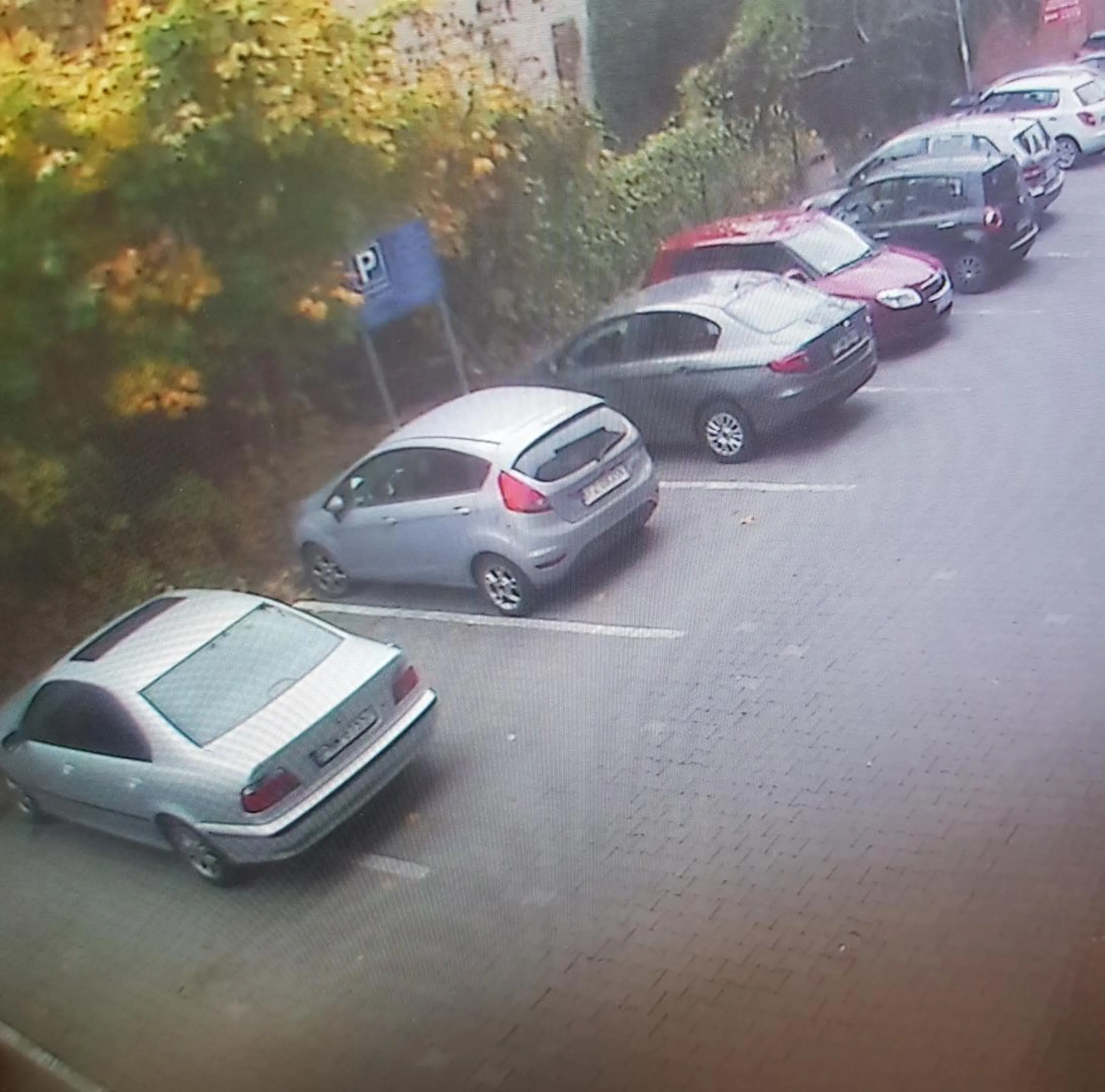 Na zarąbanym parkingu stanę sobie jak królowa.