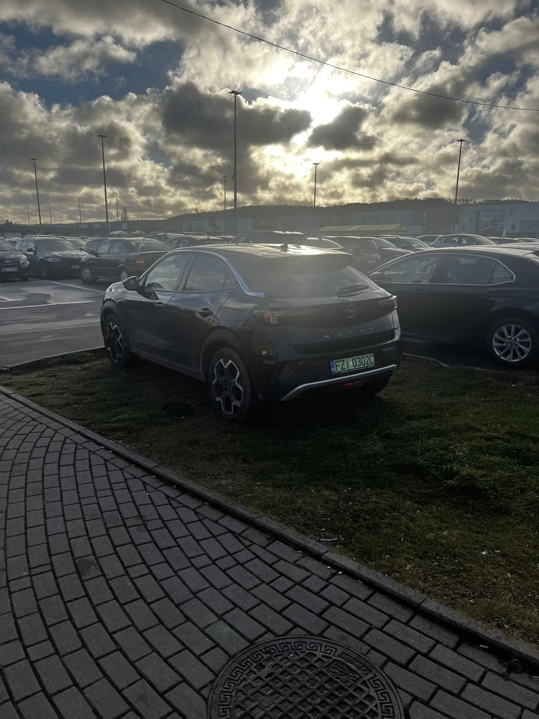 Tak ekologiczny i zielony, że musi parkować ekologicznie. Na trawie.