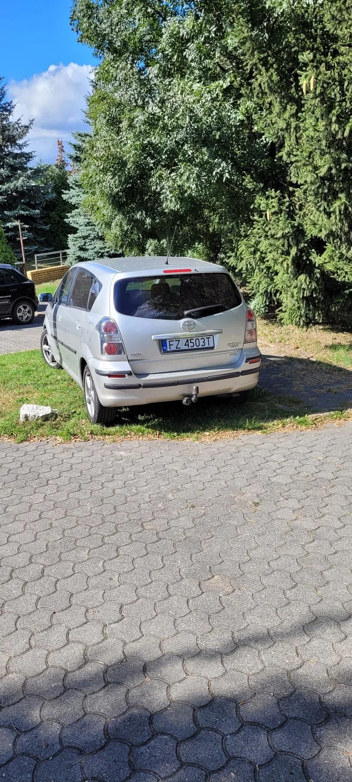 Naucz się parkować,  niszczenie zieleni co cymbał.