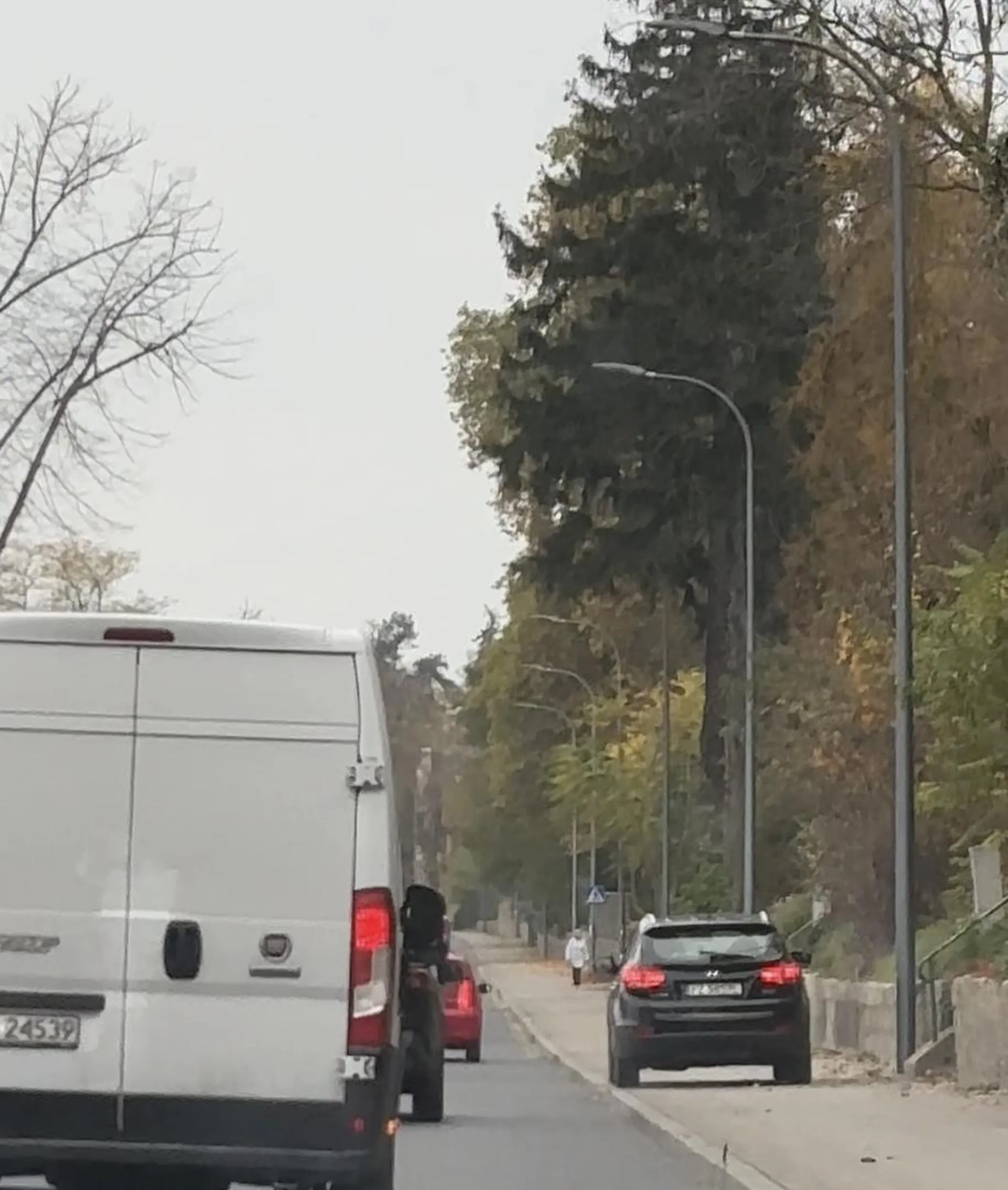 Bez komentarza… zdjęcia z filmiku, mówią same za siebie…