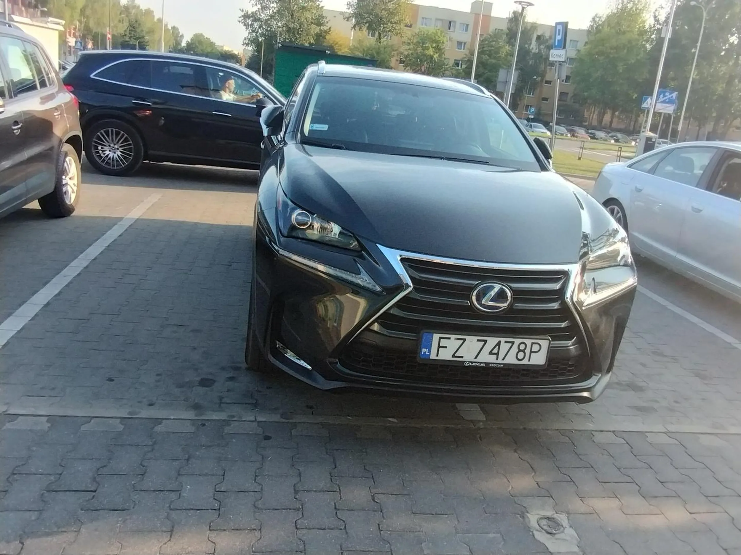 Gratuluję umiejętności parkowania