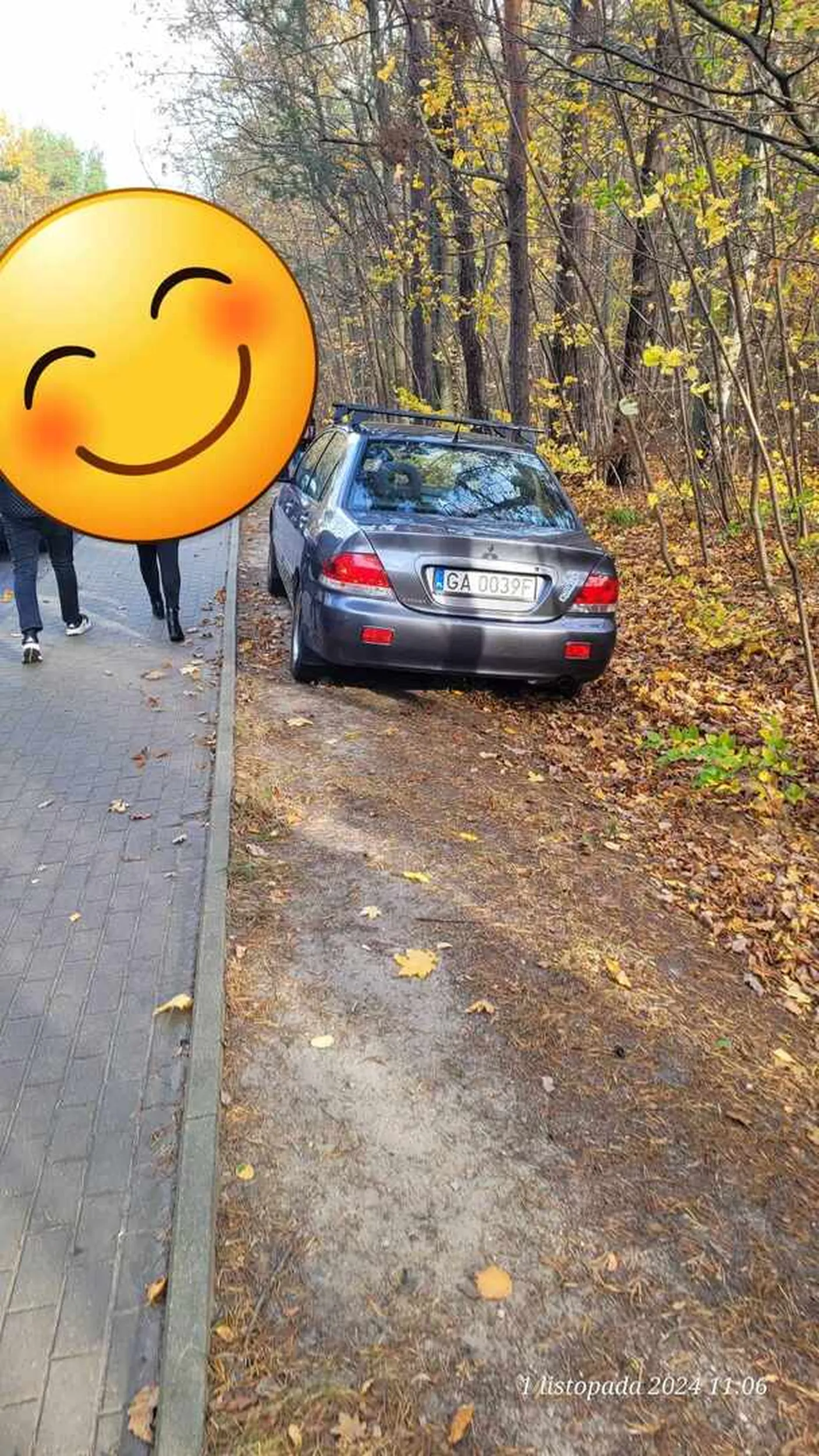 Chętnie bryka po krawężnikach i korzeniach