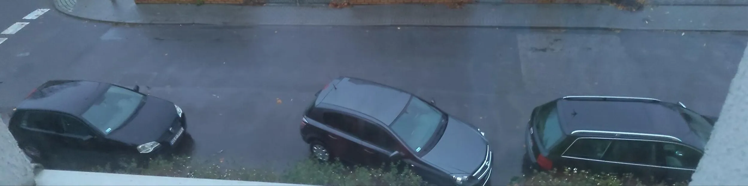 Mistrzostwa świata w CH**wym parkowaniu. Walczysz o podium... Prawko chyba znalezione w chipsach