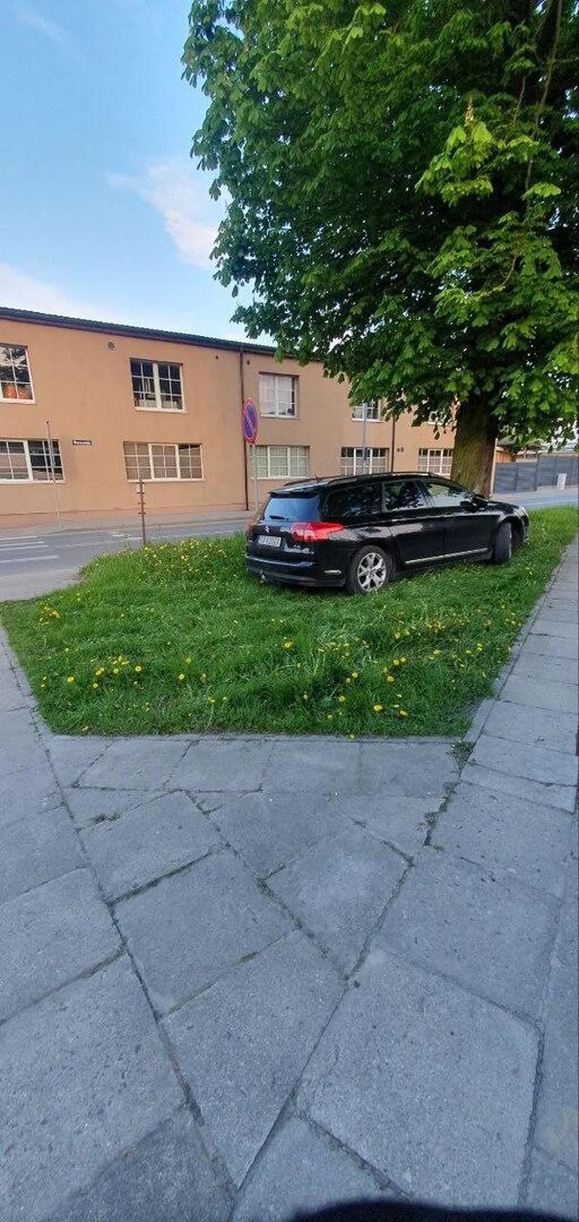 Chciałbym się nauczyć tak parkować.