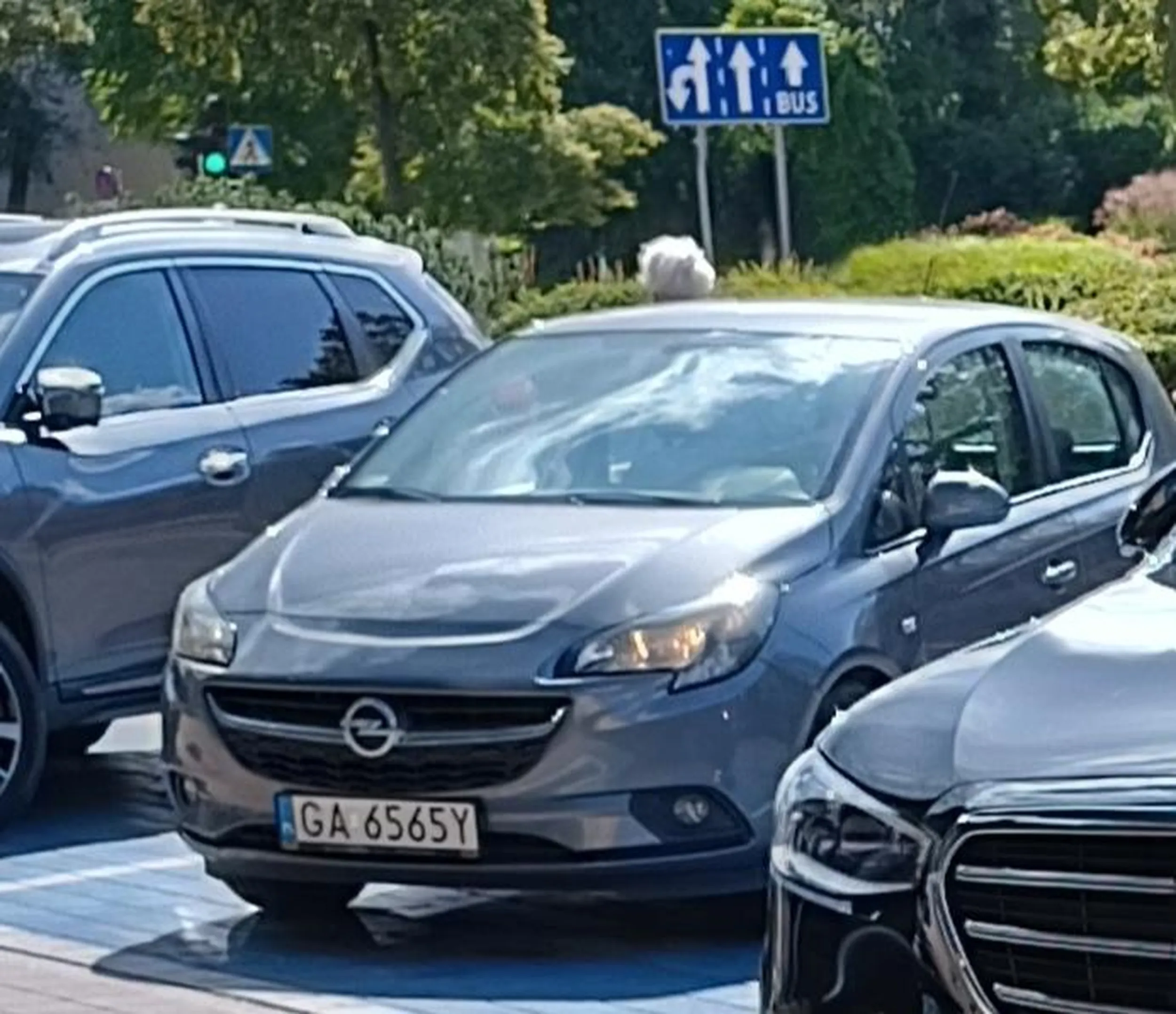 Ja nw czy tak ciężko jest wyjechać? Po co auta na głównej drodze zatrzymywać?