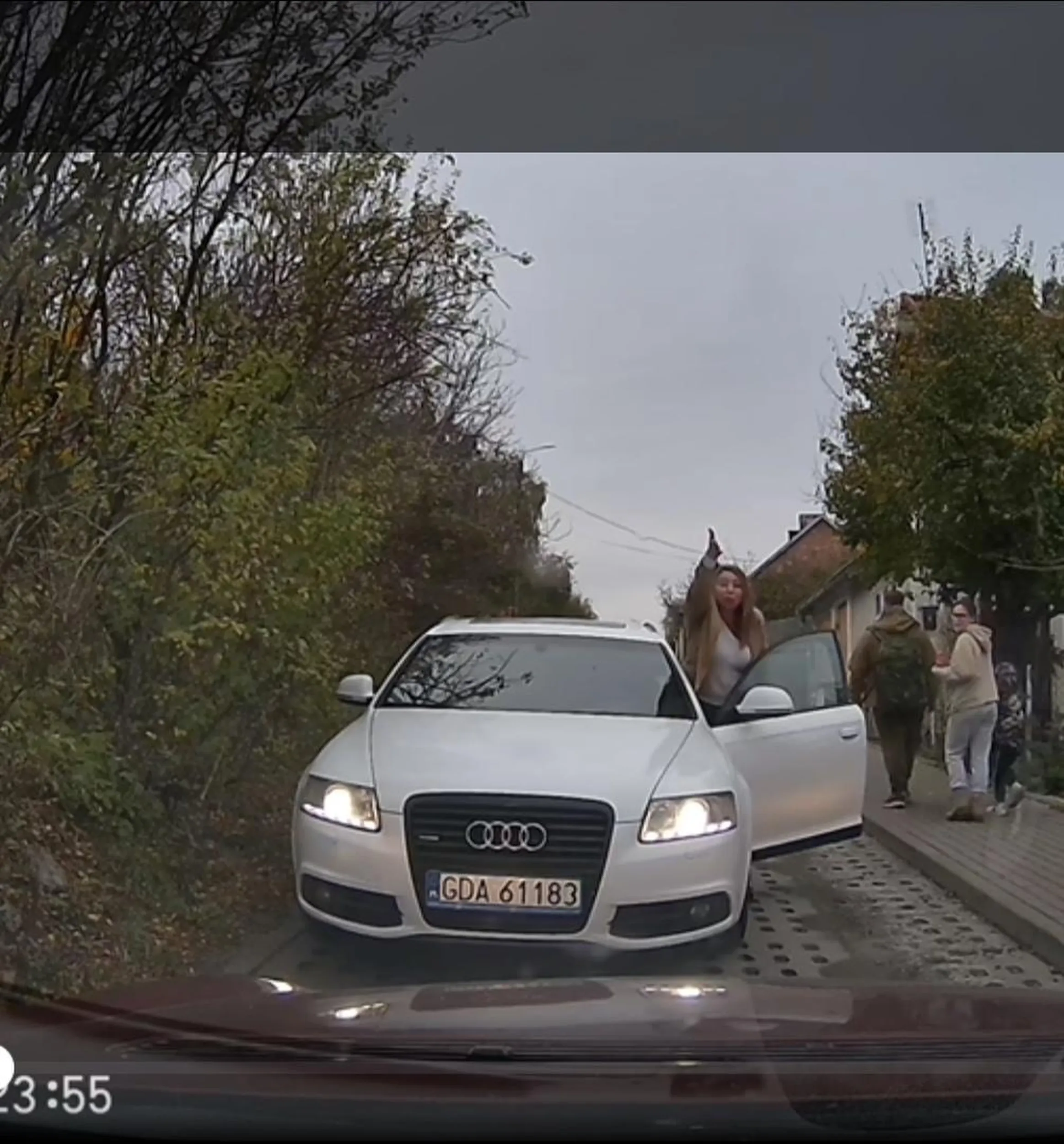 Kobieta z wargami jak odbyt pawiana wymusza pierwszeństwo, podjeżdża pod samą maskę i próbuje mnie wypchnąć z drogi, kiedy się to nie udaje, wysiada, krzyczy oraz używa niecenzuralnego języka. Serdecznie nie pozdrawiam