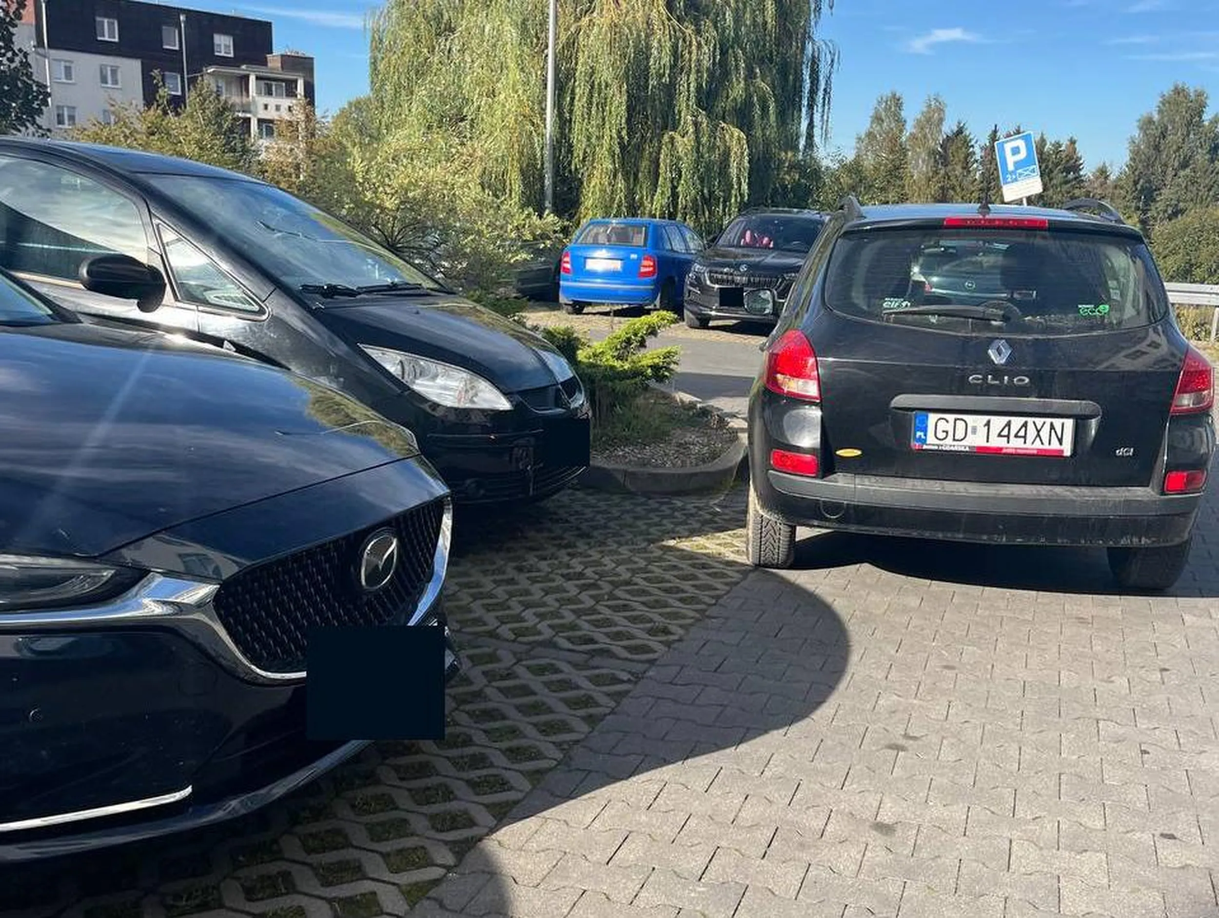 nauka parkowania chyba dopiero przed kierowcą