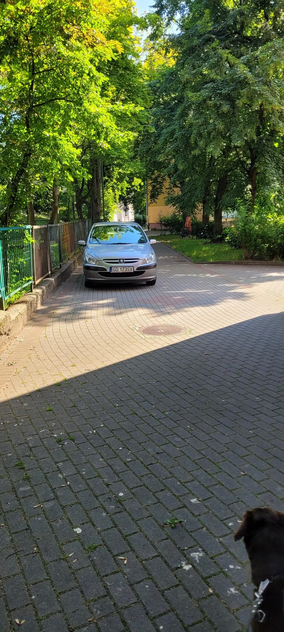 Parkowanie na drodze pożarowej