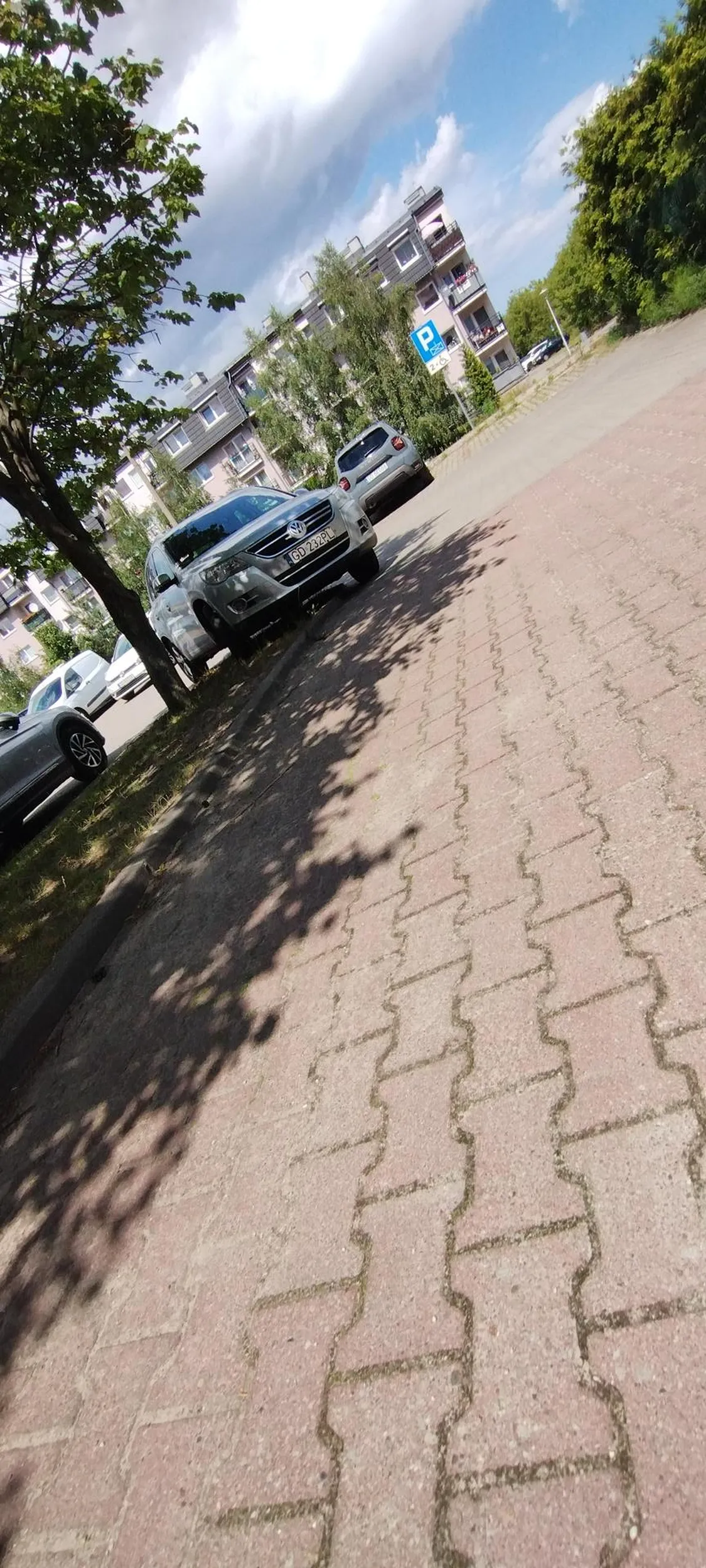 Trawnik to nie miejsce do parkowania :)