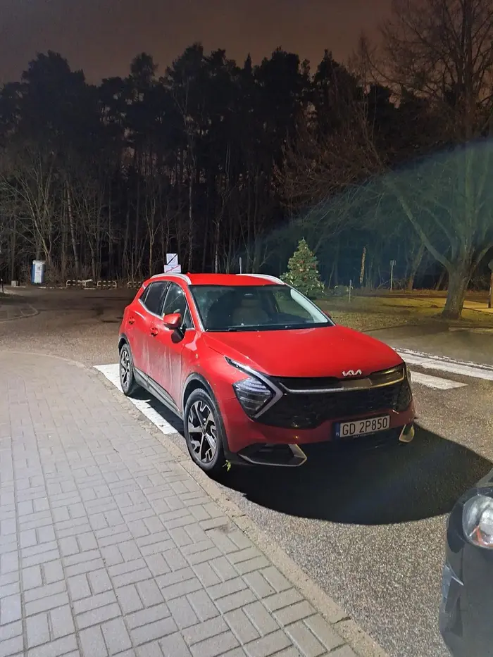 Parkowanie na przejściu dla pieszych