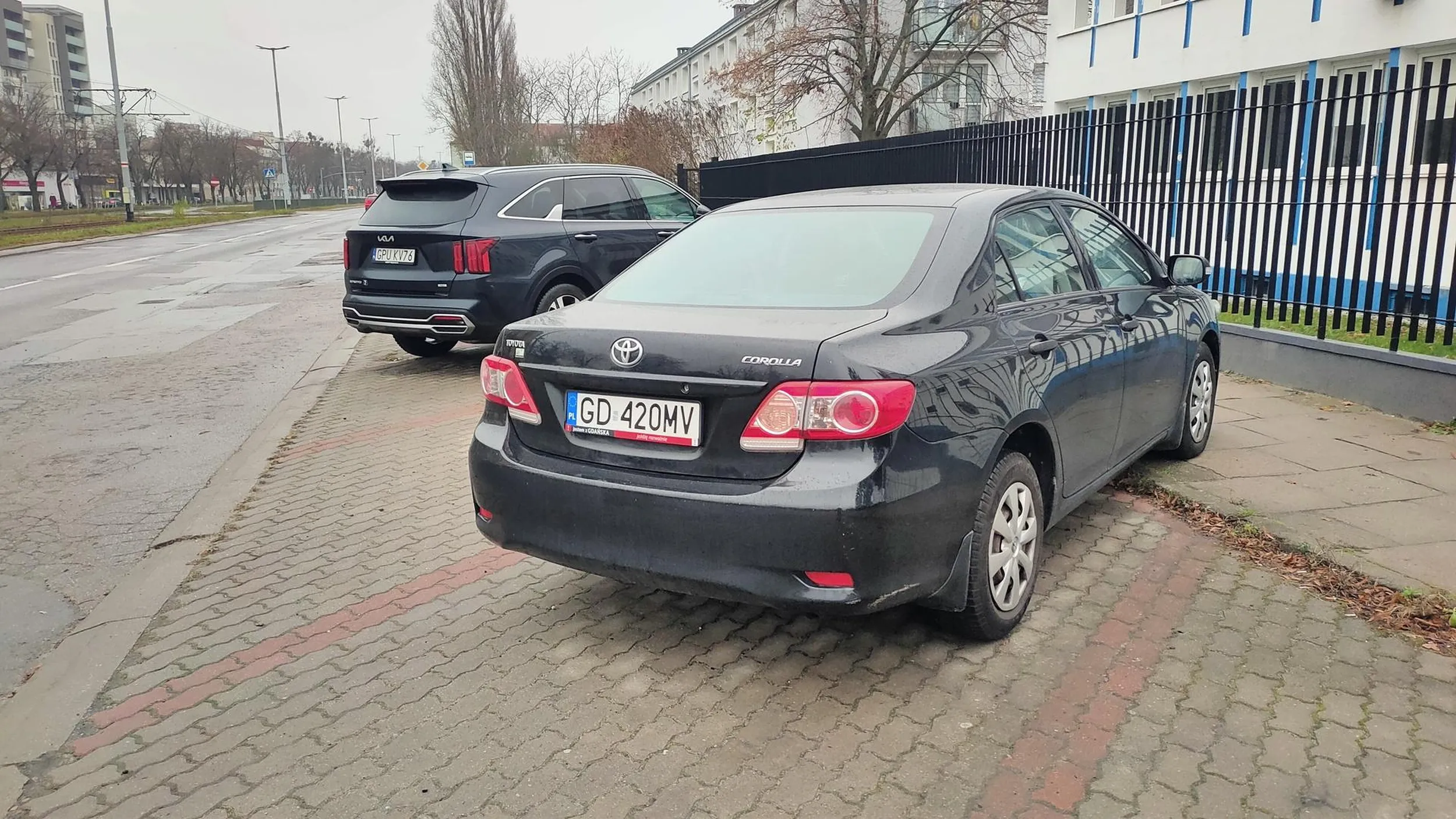 Osoba kierująca jest osobą niewidomą, prosi o datki na psa przewodnika do pomocy w parkowaniu