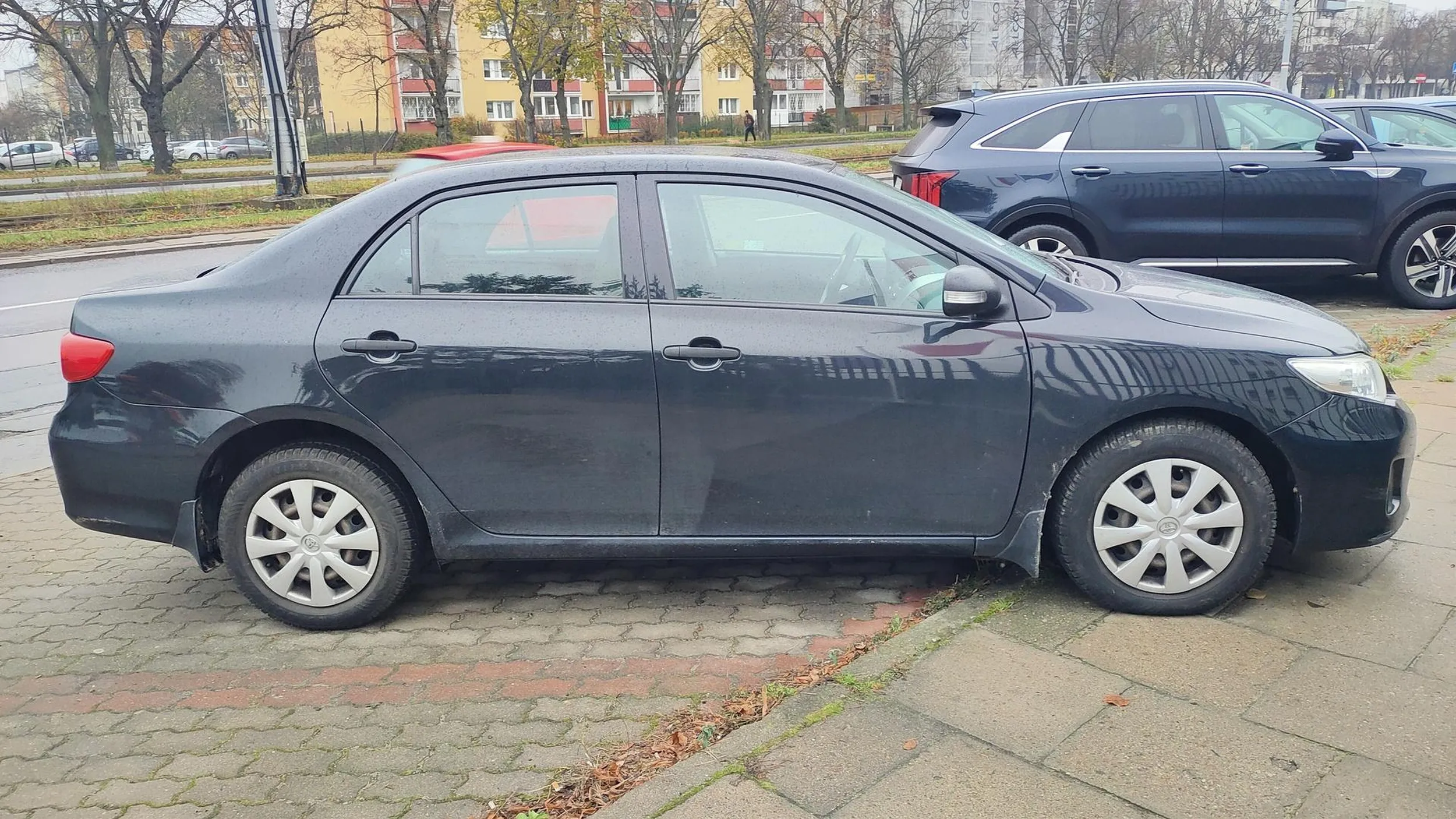 Osoba kierująca jest osobą niewidomą, prosi o datki na psa przewodnika do pomocy w parkowaniu