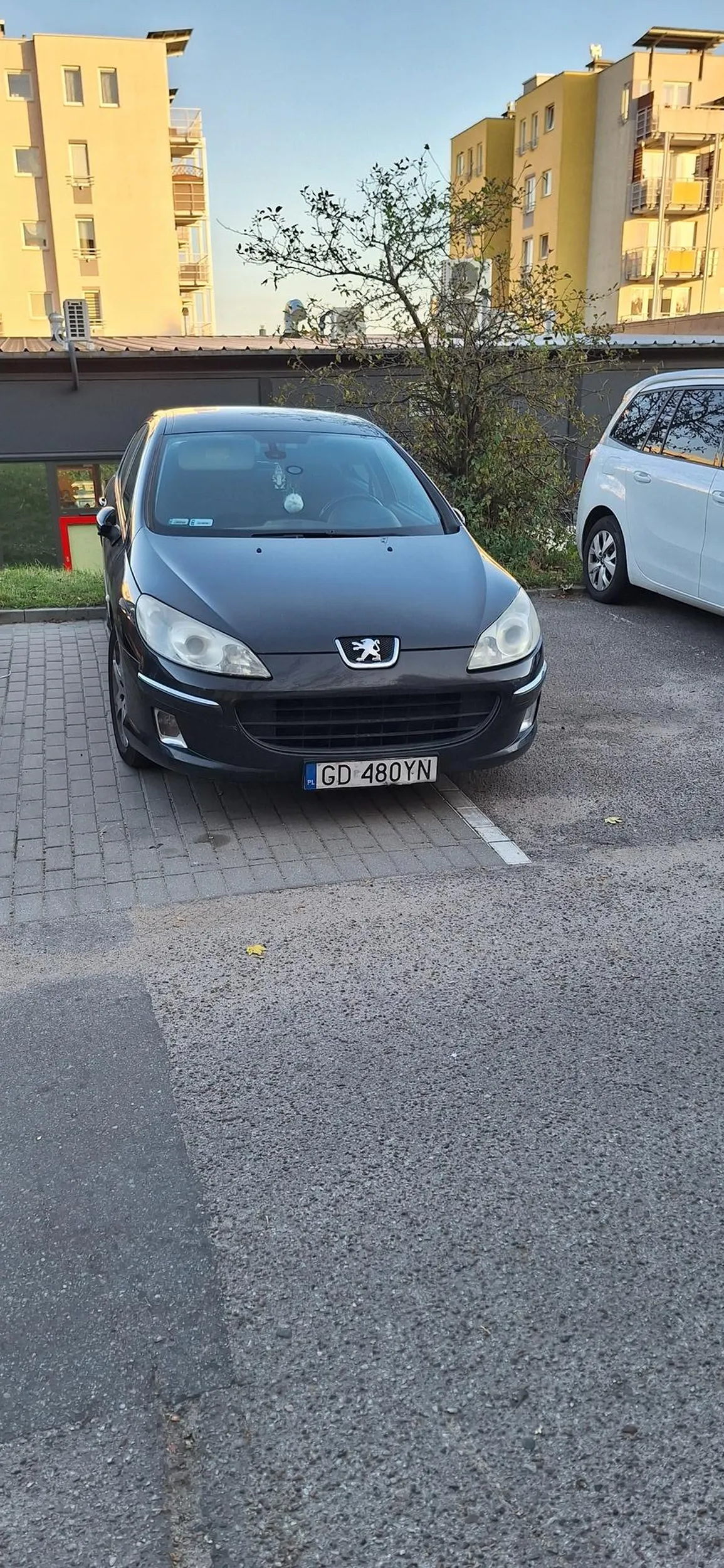 Naucz się parkować, bo to nie pierwszy raz taki numer odstawiasz.