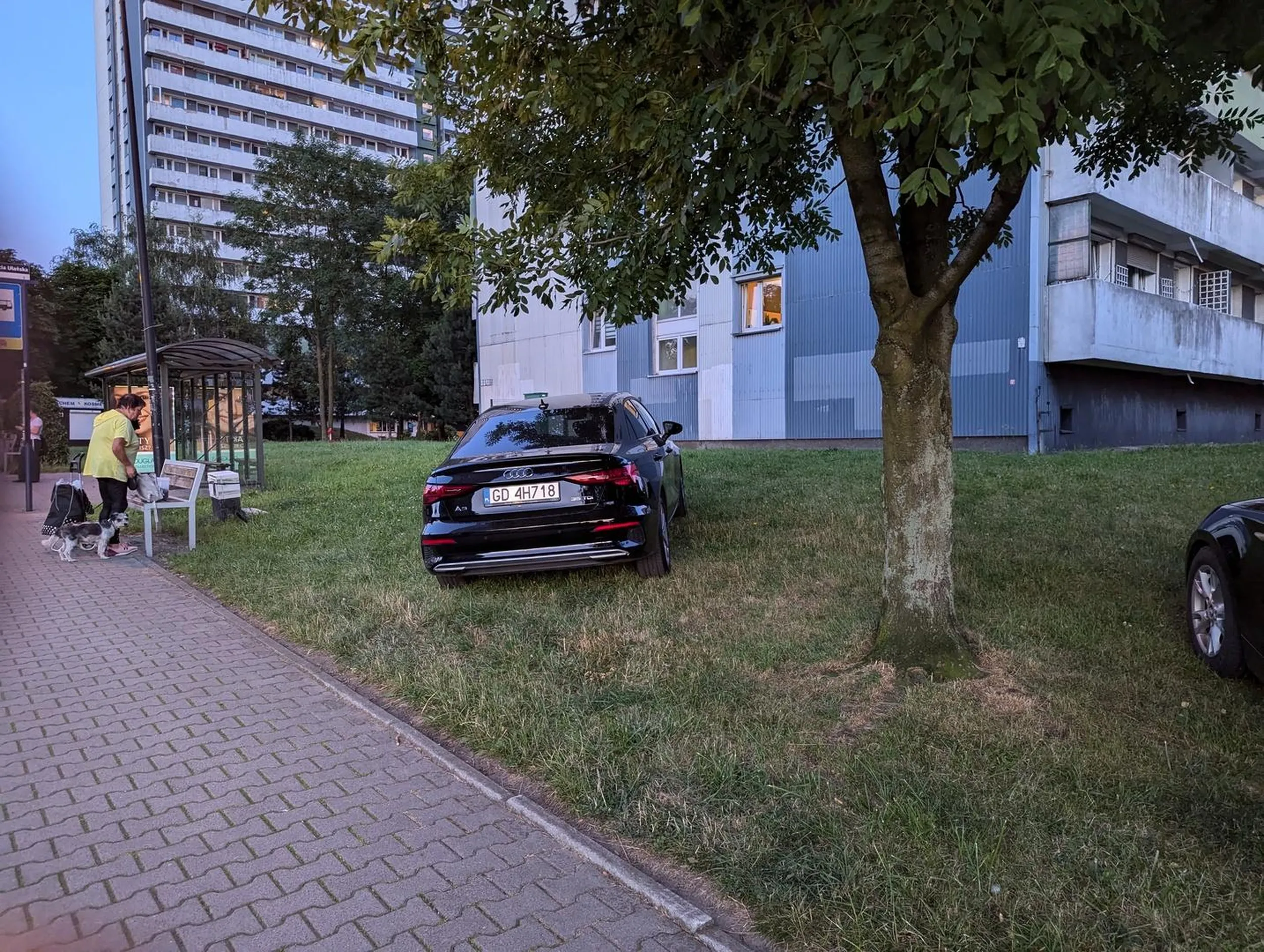 No gdzie parkujesz!?