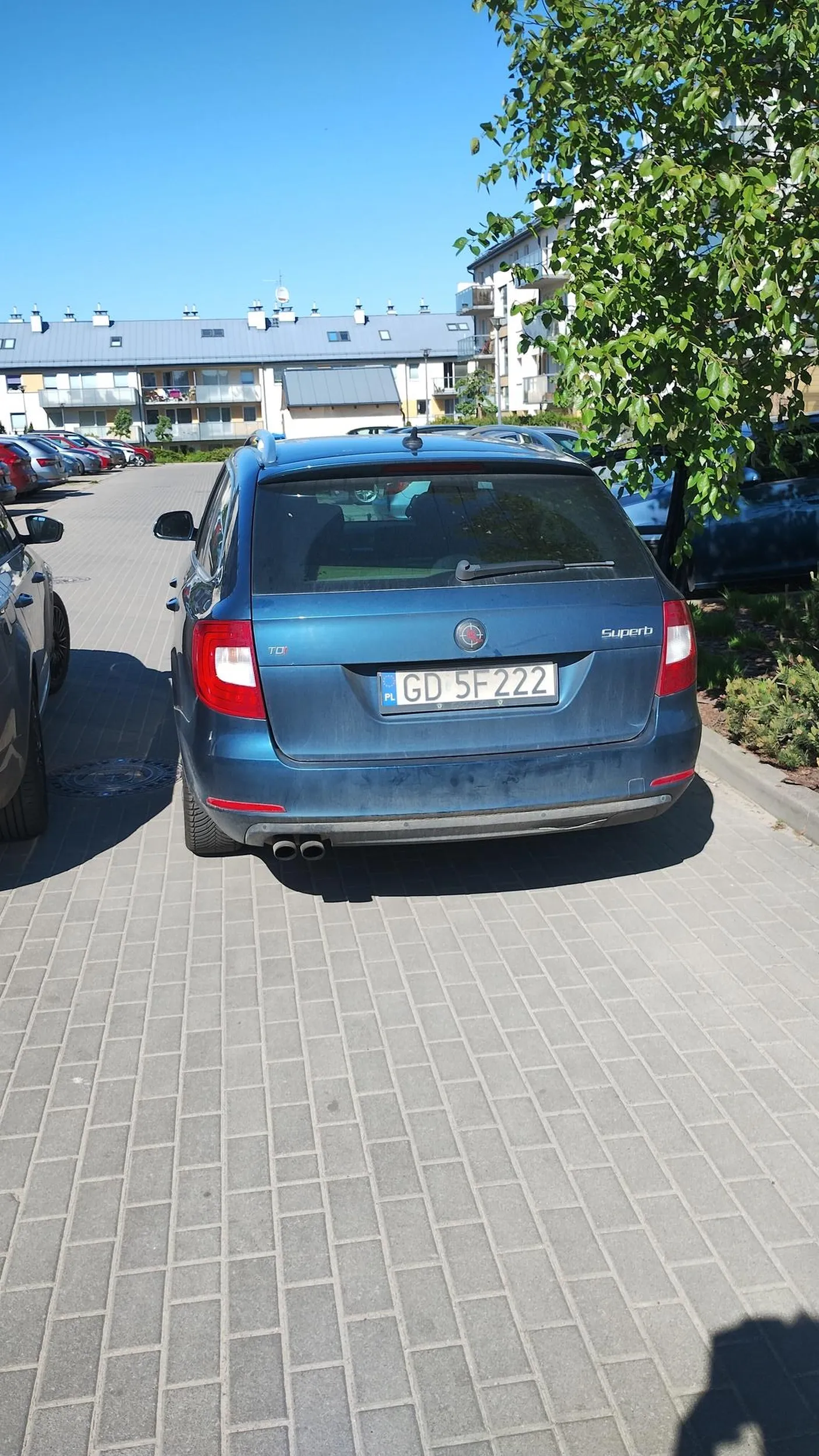 "Ja nie parkuje na skrzyżowaniu." To nic , że za nim jest droga poprzeczna i pasy. Zwykły cham i prostak.