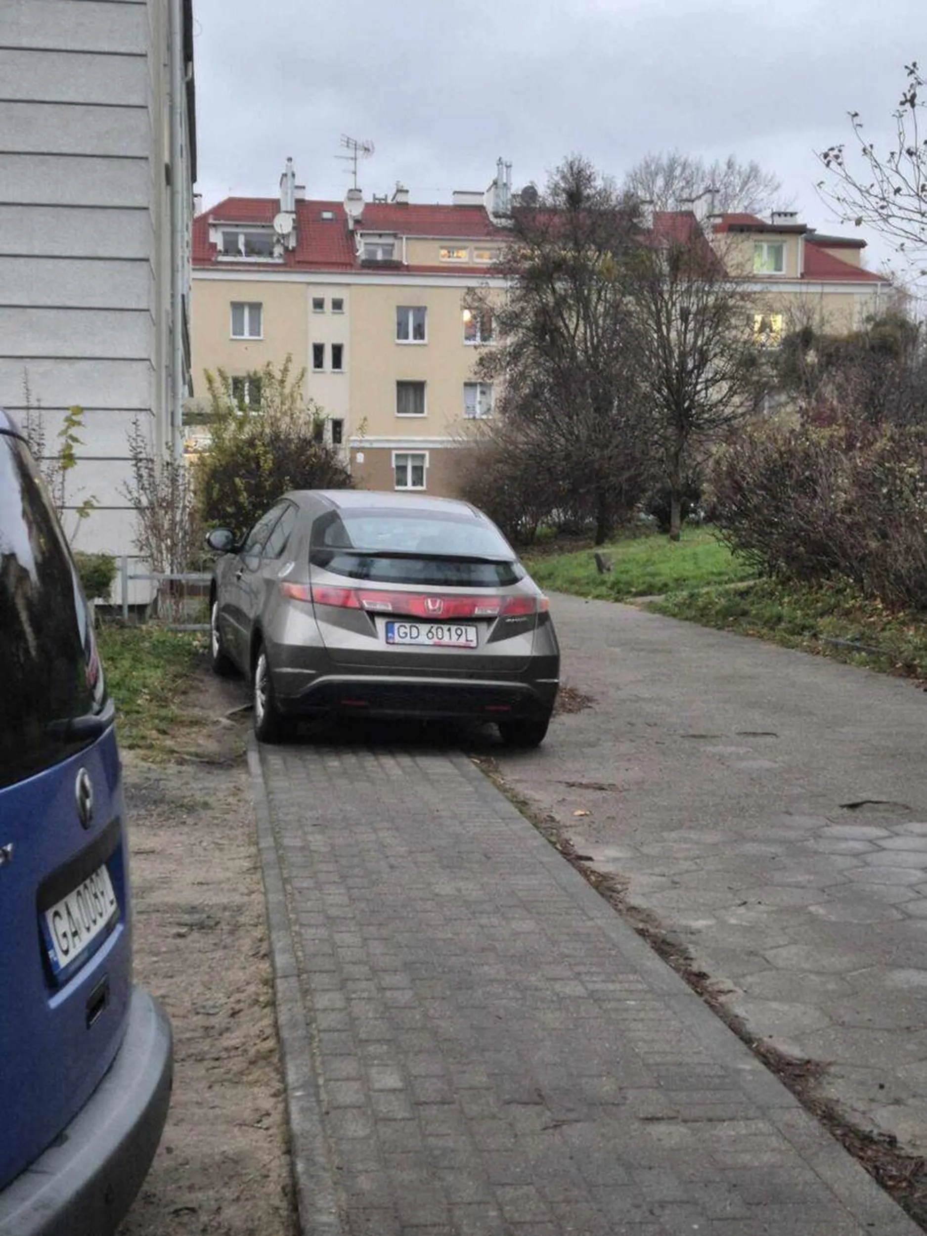 Baran więcej chodnika nie mógł zająć. A w około pełno miejsc wolnych (darmowych też)