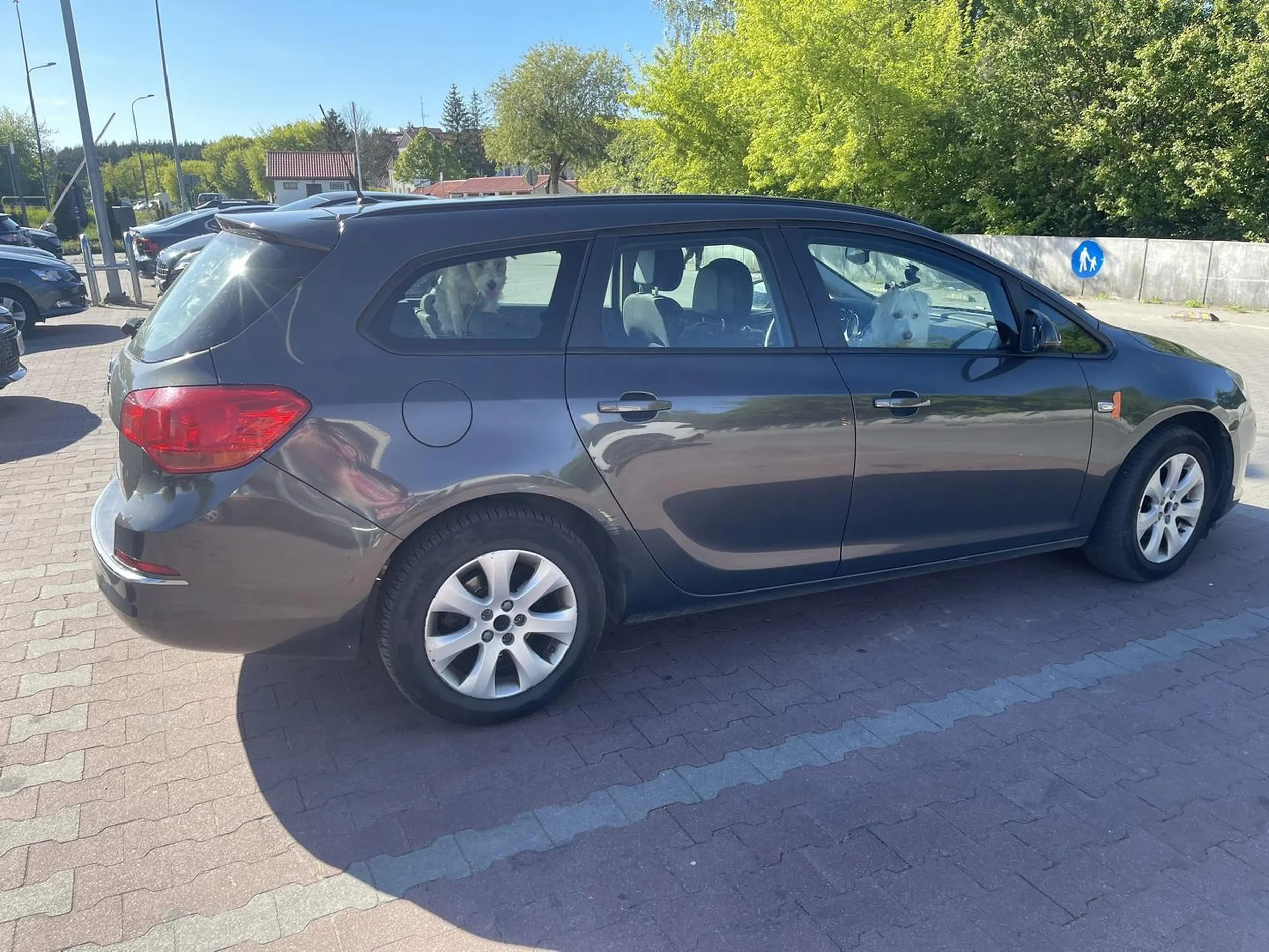 slonce napierdala a tu pan zostawil trzy pieski w samochodzie bez uchylonej szyby i bez wlaczonej klimatyzacji. jeden z pieskow dyszal tak mocno ze trudno bylo na to patrzec. trwalo to przynajmniej 10 minut (tyle spedzilismy przed biedronka czekajac na wlasciciela). po zwroceniu uwagi zeby nastepnym razem uchylil szybe dostalismy bardzo mila odpowiedz zebysmy zajeli sie wlasnymi sprawami :)