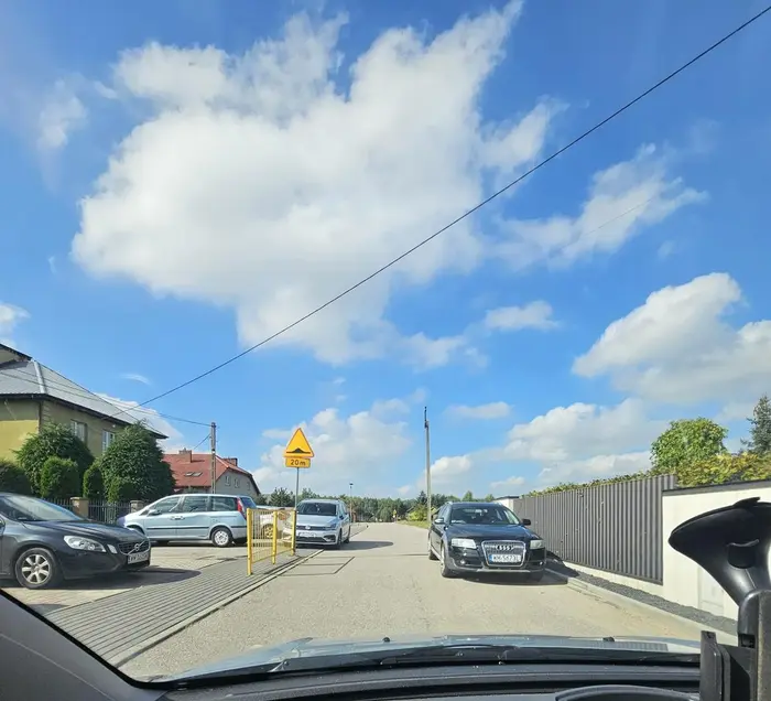 Mistrzowie parkowania