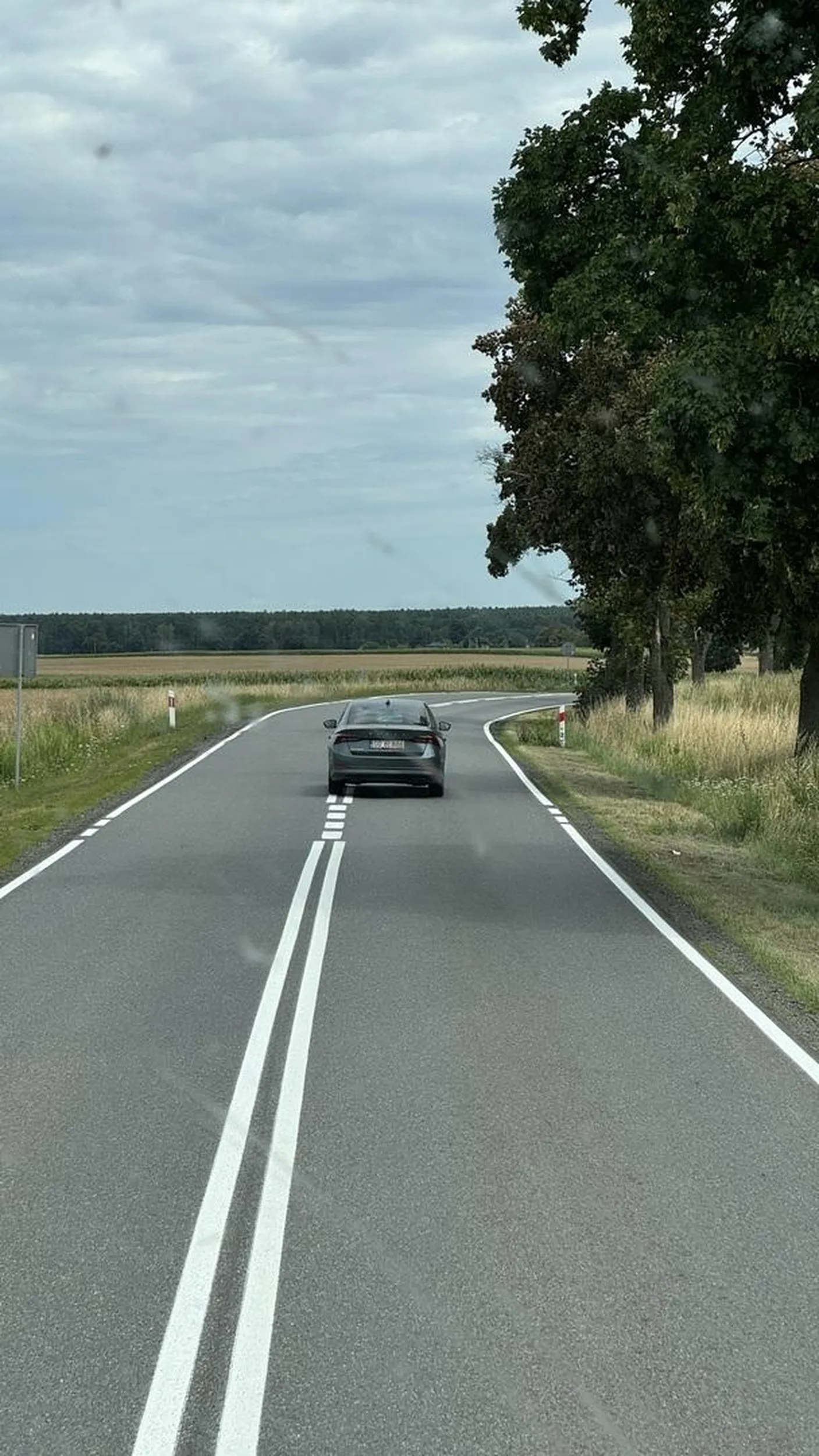 Naucz się jeździć paskudzie handlowy! Firmowa Skoda nie zobowiązuje do piracenia na drodze ciulu