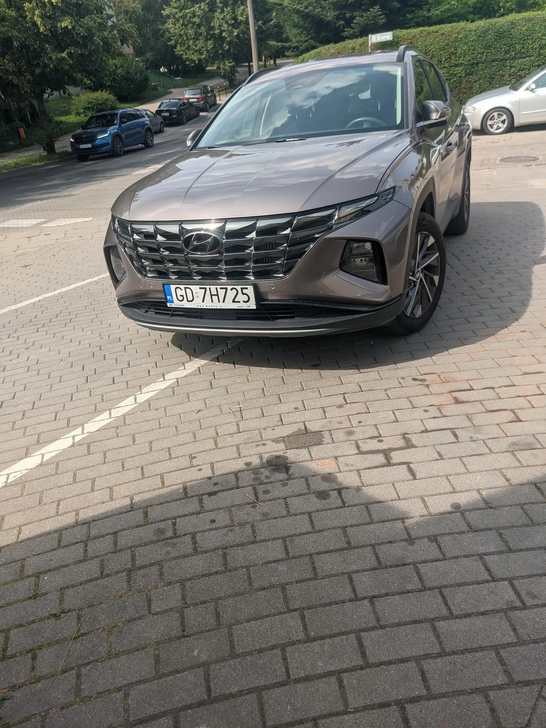 Prawo jazdy znalezione w chipsach