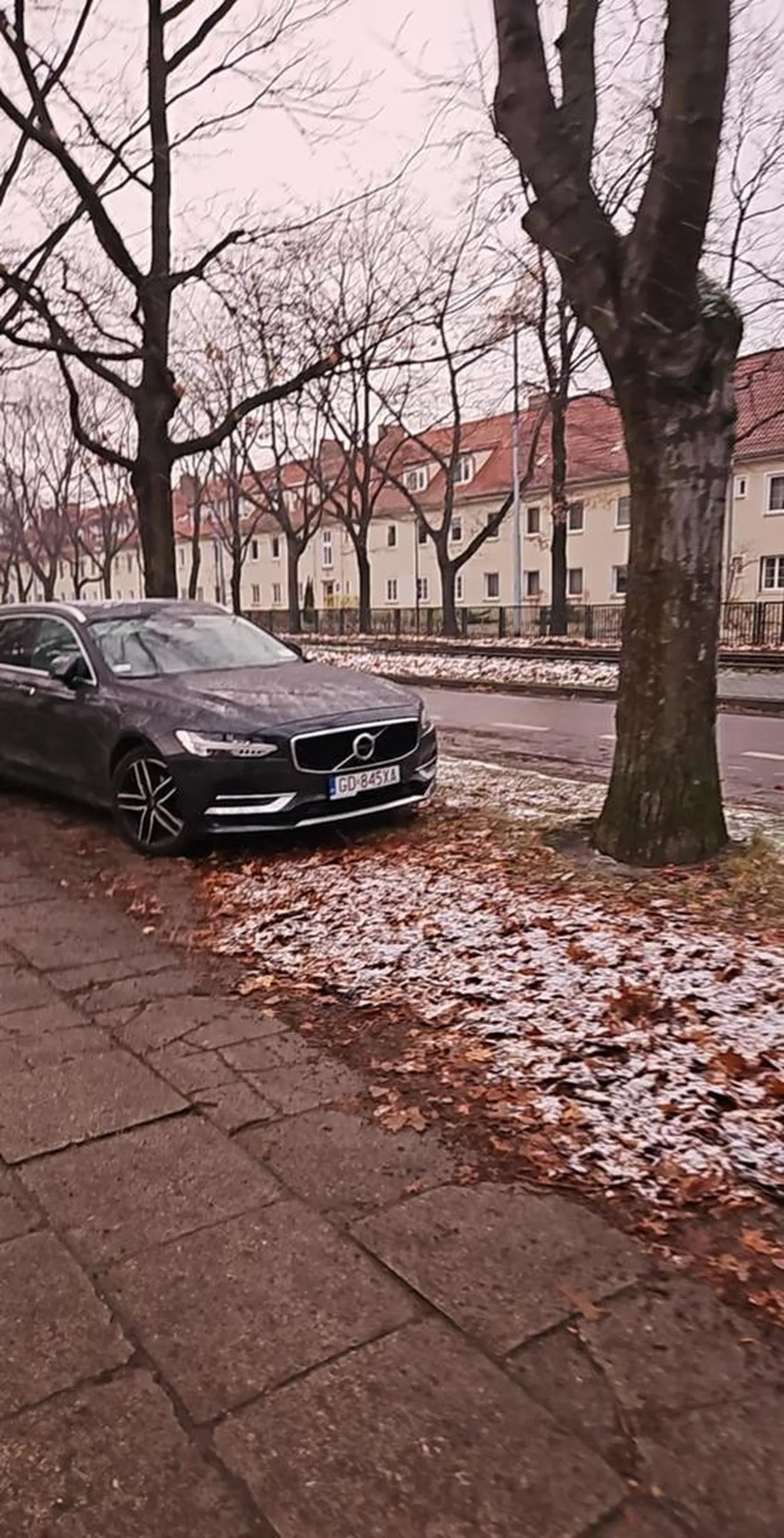 Nie umie parkować i niszczy zieleń