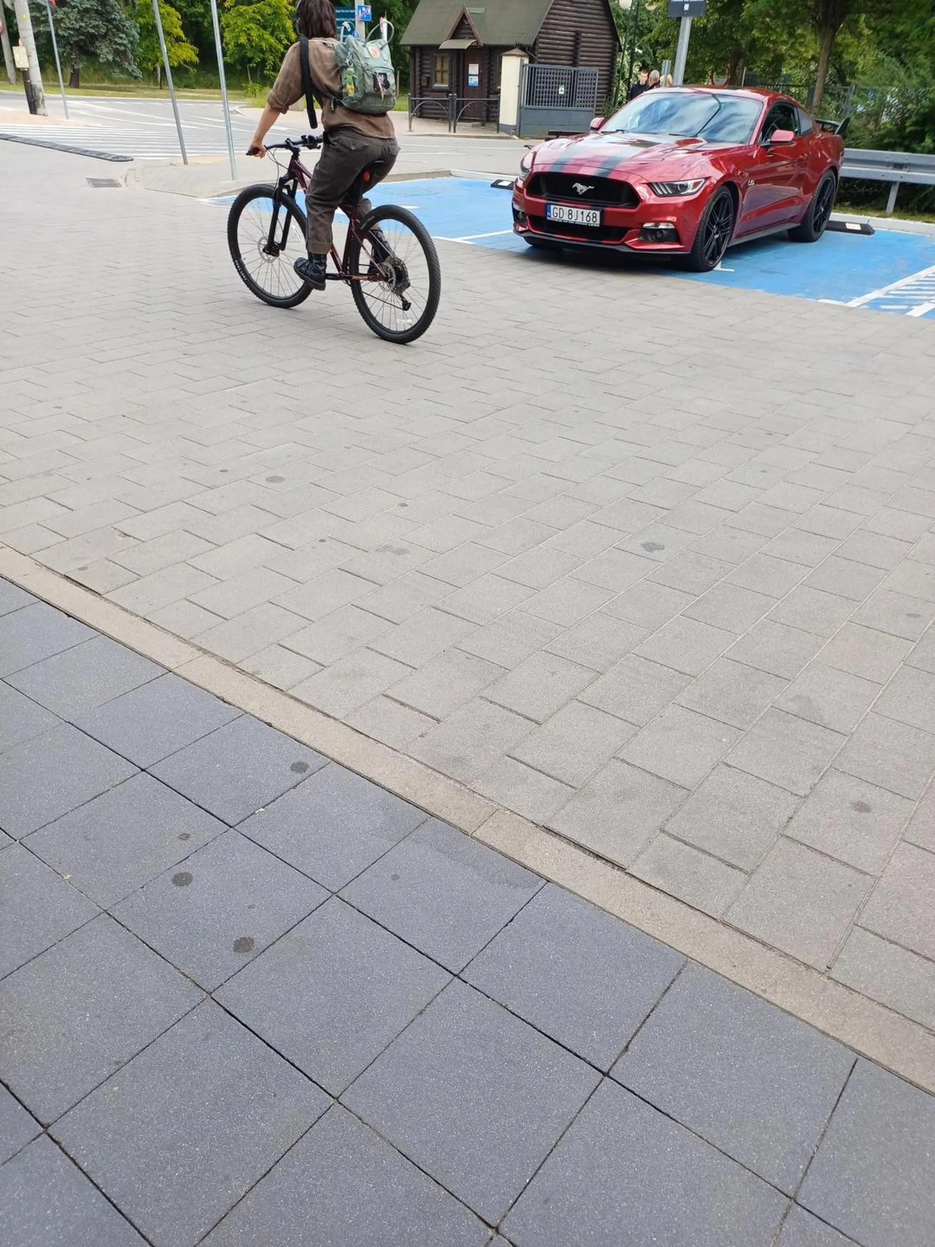 Wysoki stopień niepełnosprawności...